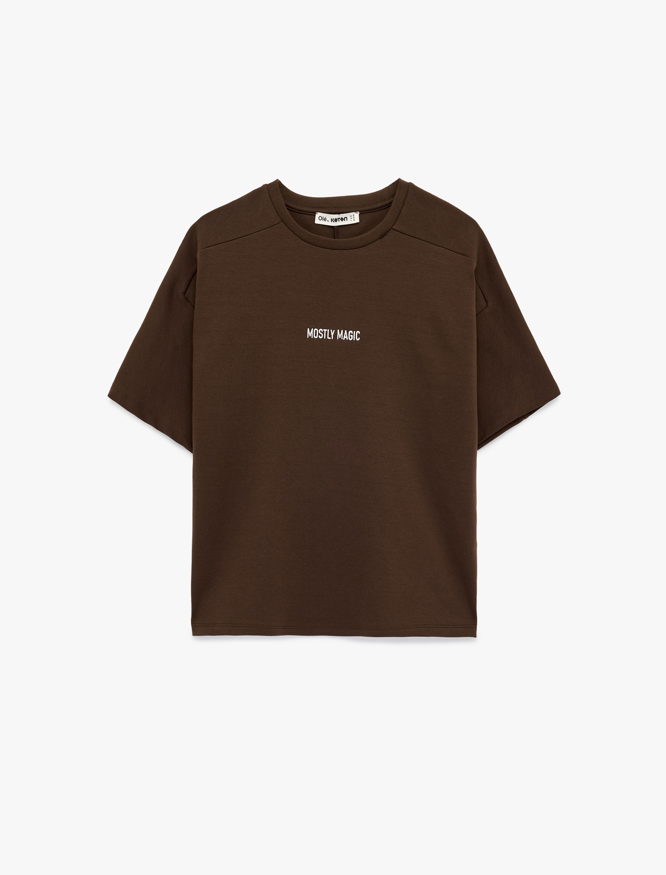   Kısa Kollu Bisiklet Yaka Nakışlı Oversize Tişört