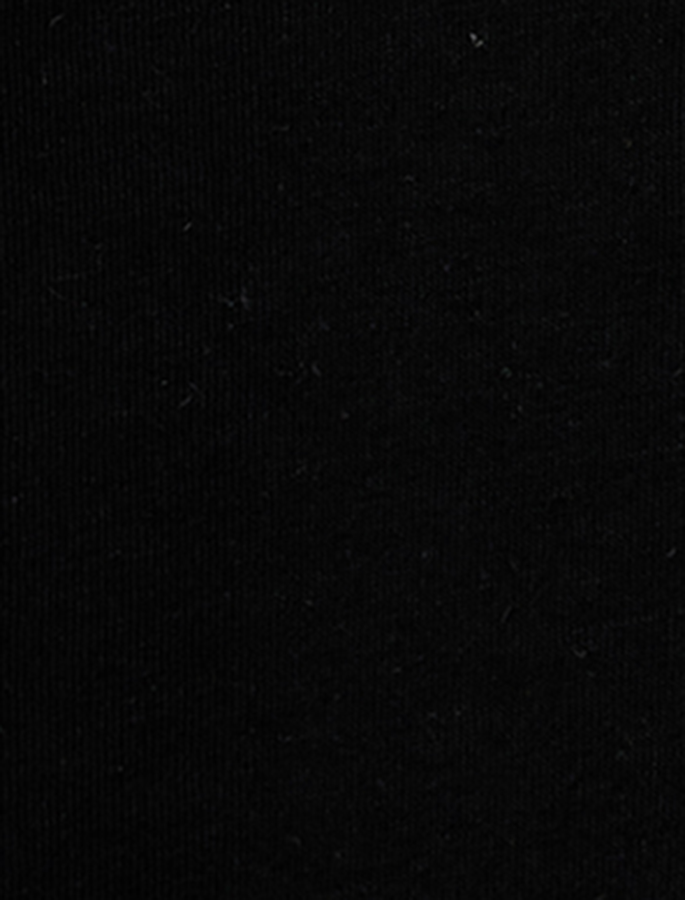   Kısa Kollu Bisiklet Yaka Pamuklu Köpek Nakış Detaylı Tişört