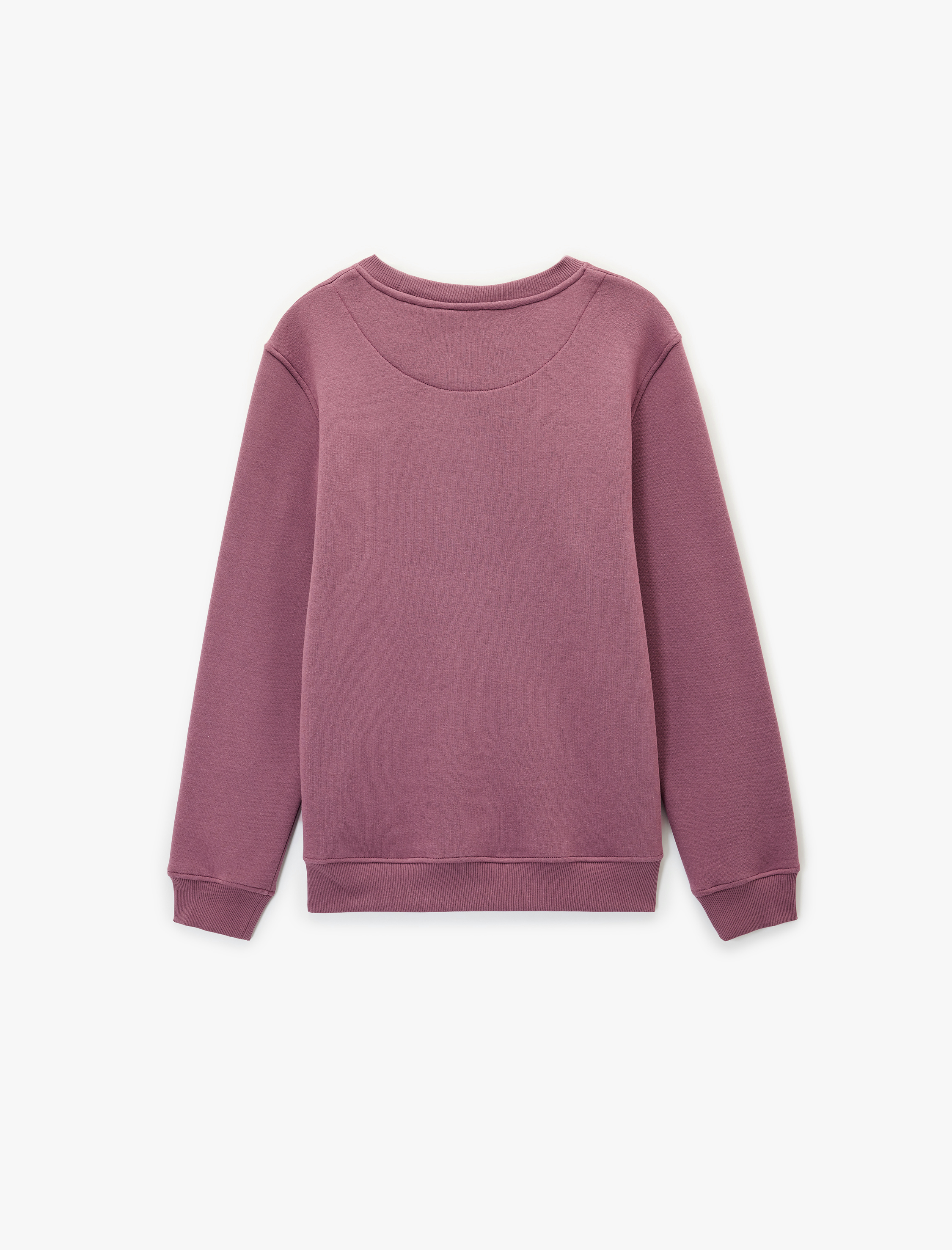   Regular Fit Pamuk Viskon Karışımlı Şardonlu Bisiklet Yaka Baskılı Sweatshirt