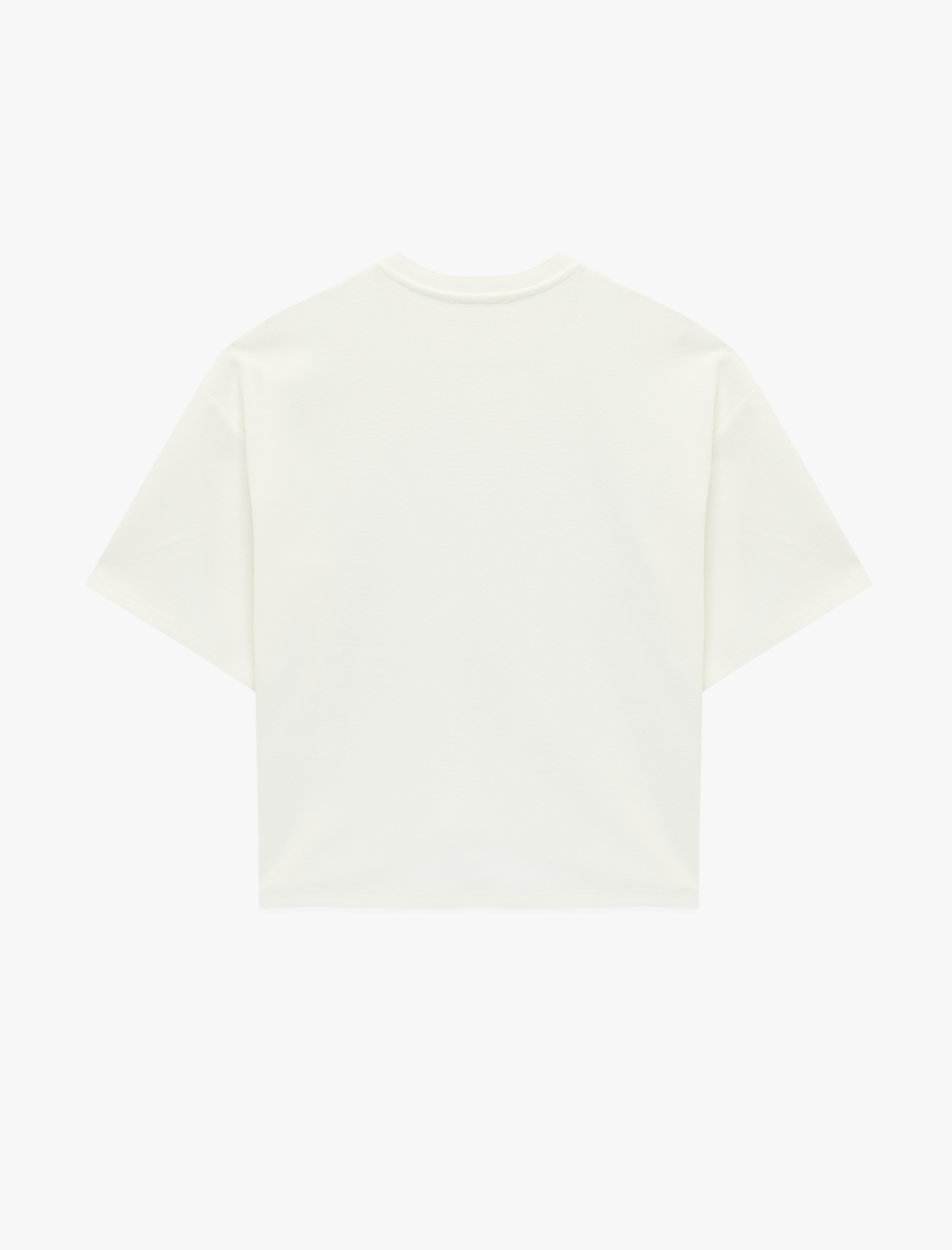   Regular Fit Kısa Kollu Bisiklet Yaka Taşlı Tişört