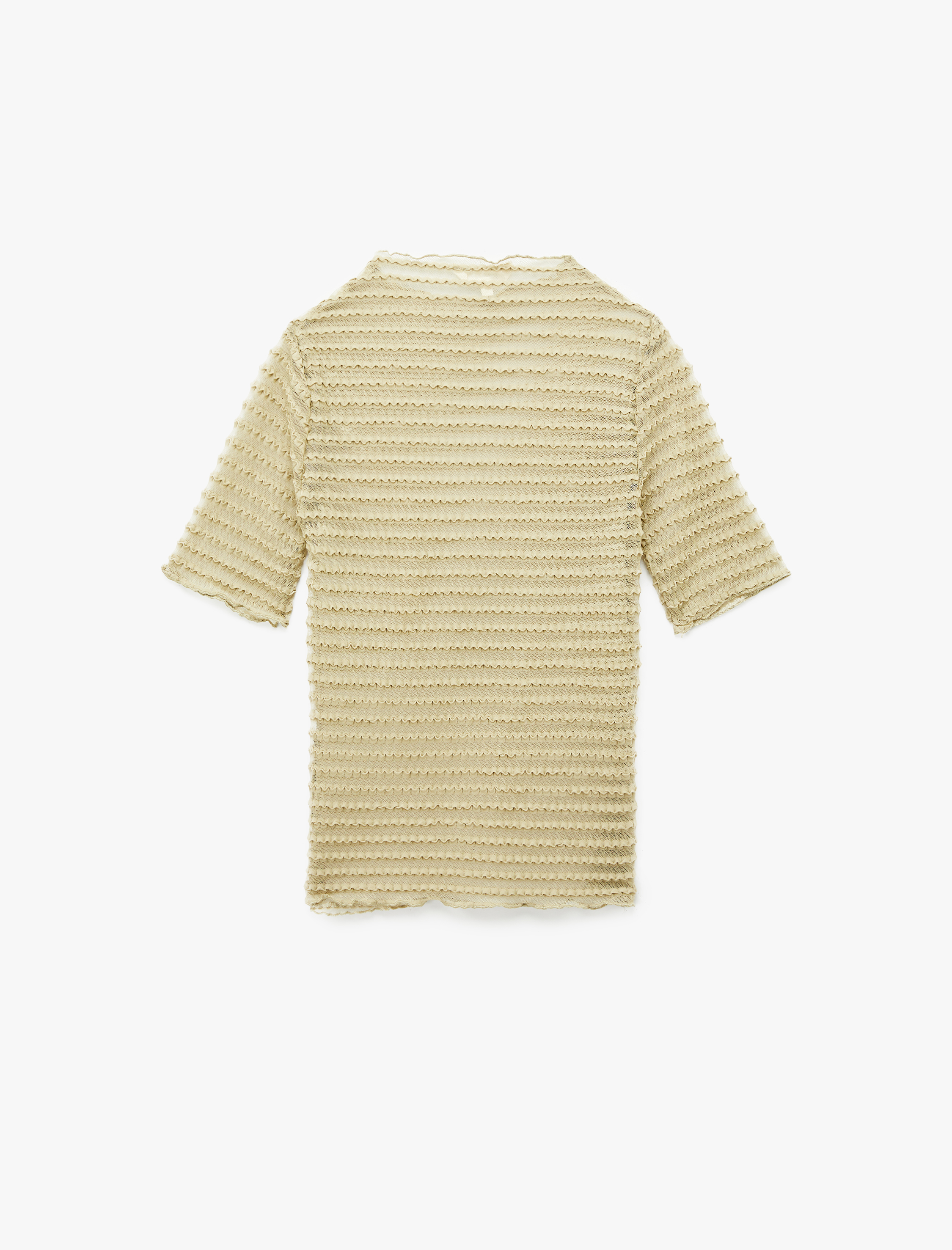   Regular Fit Kısa Kollu Bisiklet Yaka Yarı Transparan Tişört