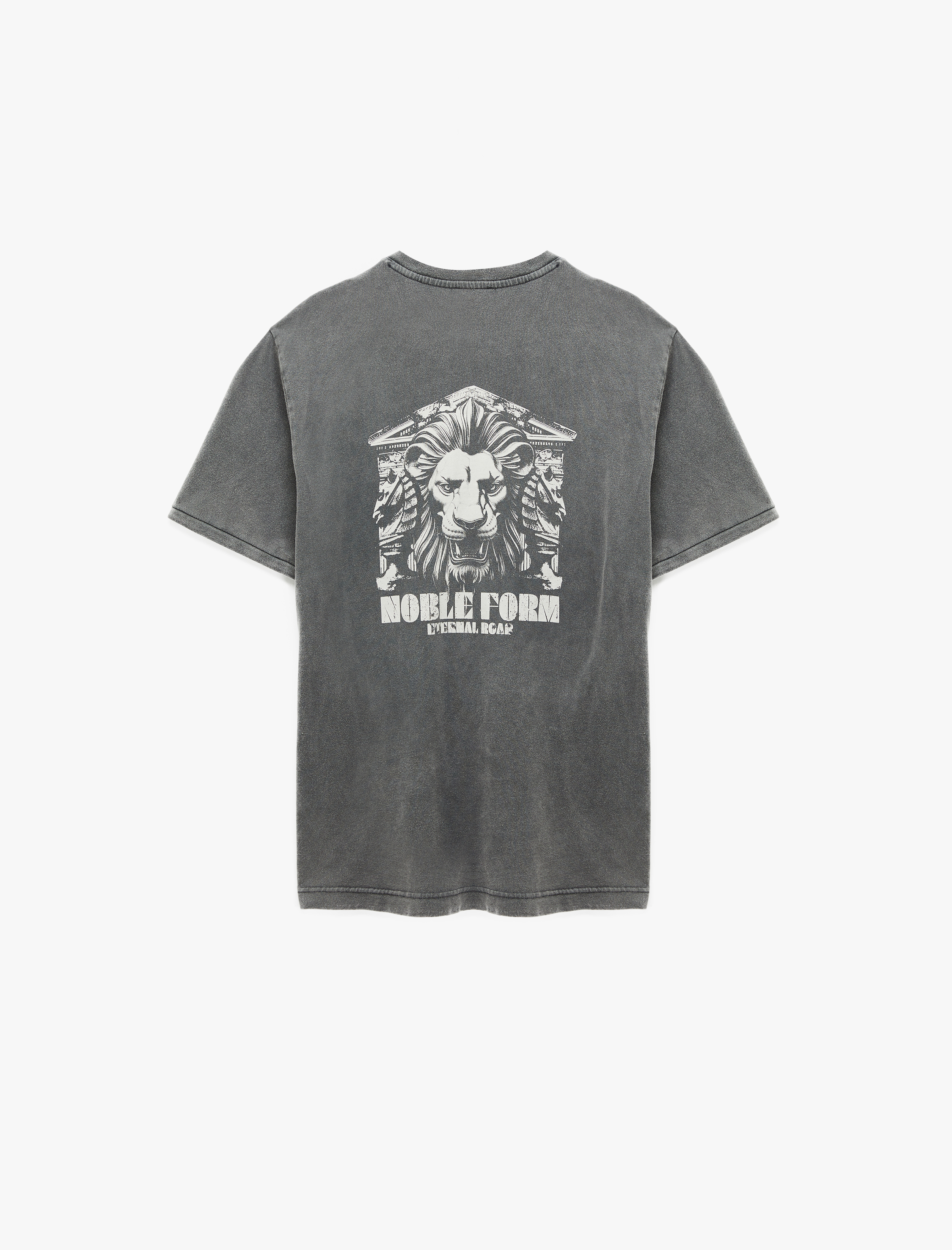   Regular Fit Kısa Kollu Pamuklu Yıkamalı Bisiklet Yaka Arkası Baskılı Tişört