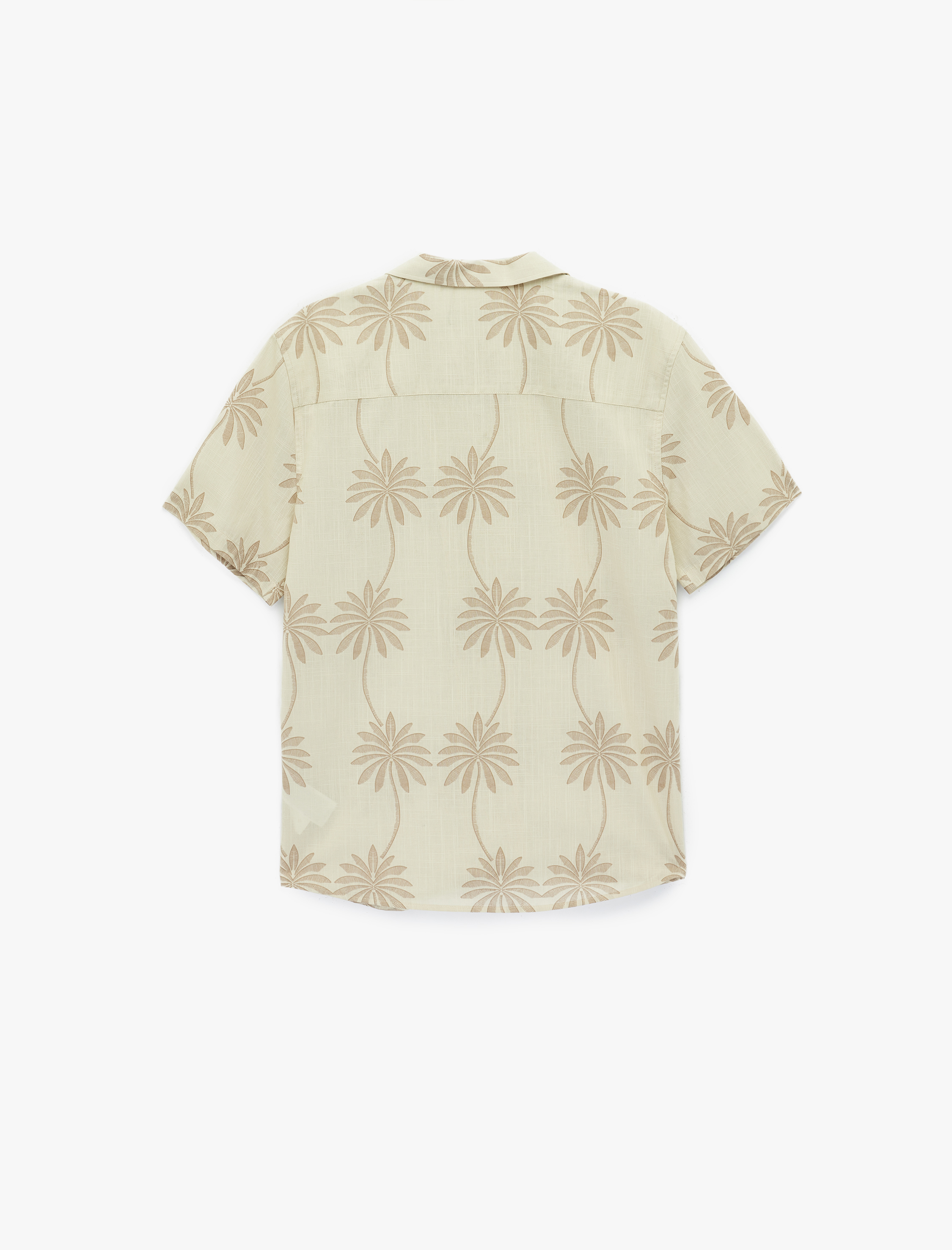   Regular Fit Kısa Kollu Pamuklu Palmiye Desenli Apaş Yaka Gömlek