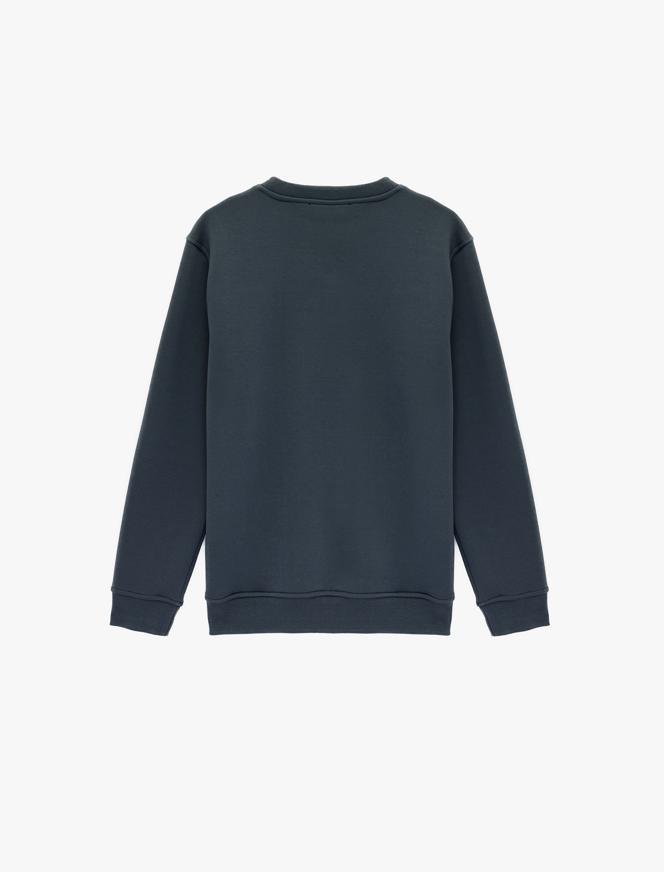   Uzun Kollu Şardonlu Baskılı Bisiklet Yaka Sweatshirt