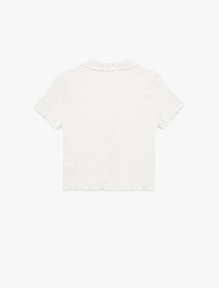  Düğmeli Klasik Yaka Kısa Kollu Bürümcük Bluz