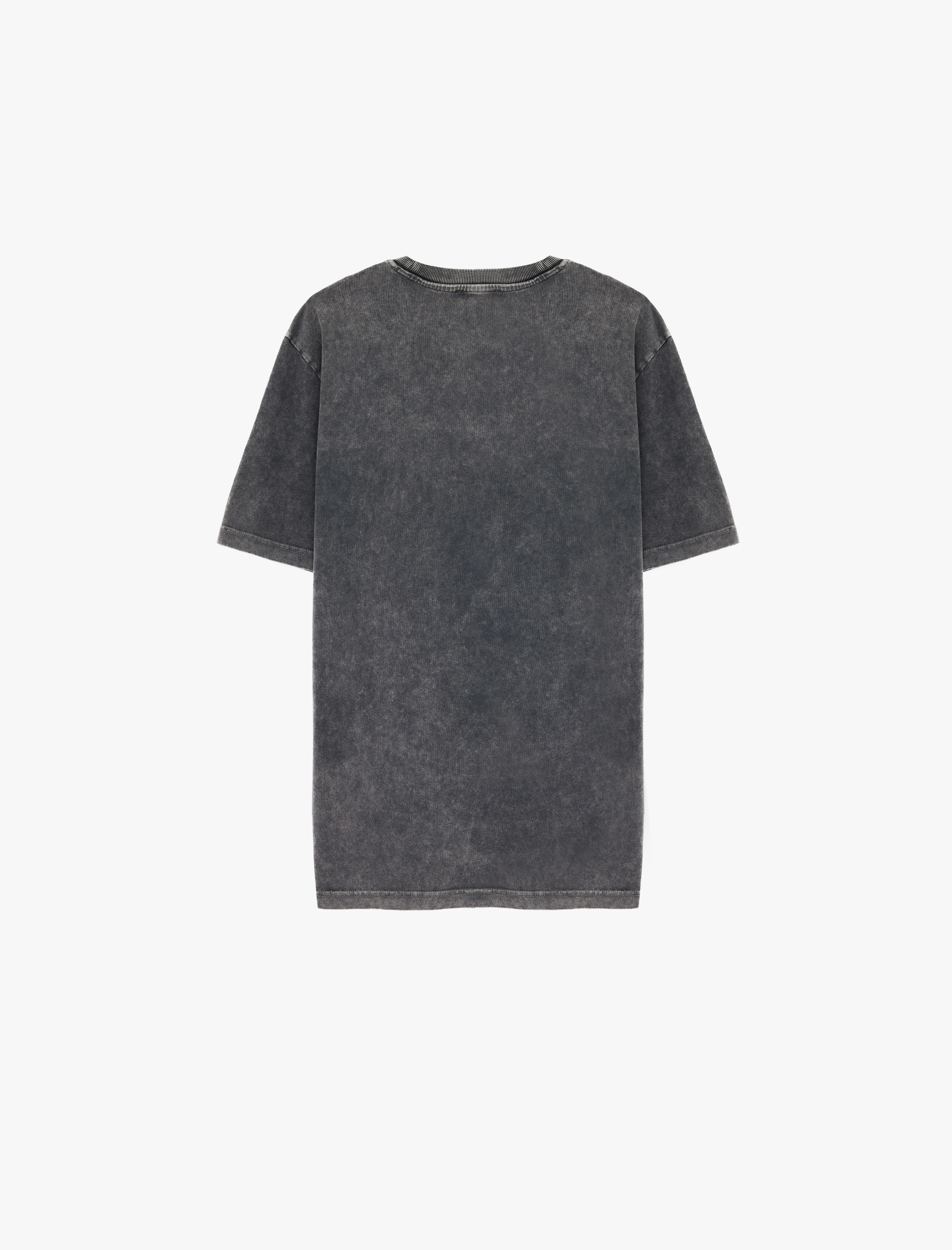   Regular Fit Kısa Kollu Pamuklu Yıkamalı Bisiklet Yaka Baskılı Tişört