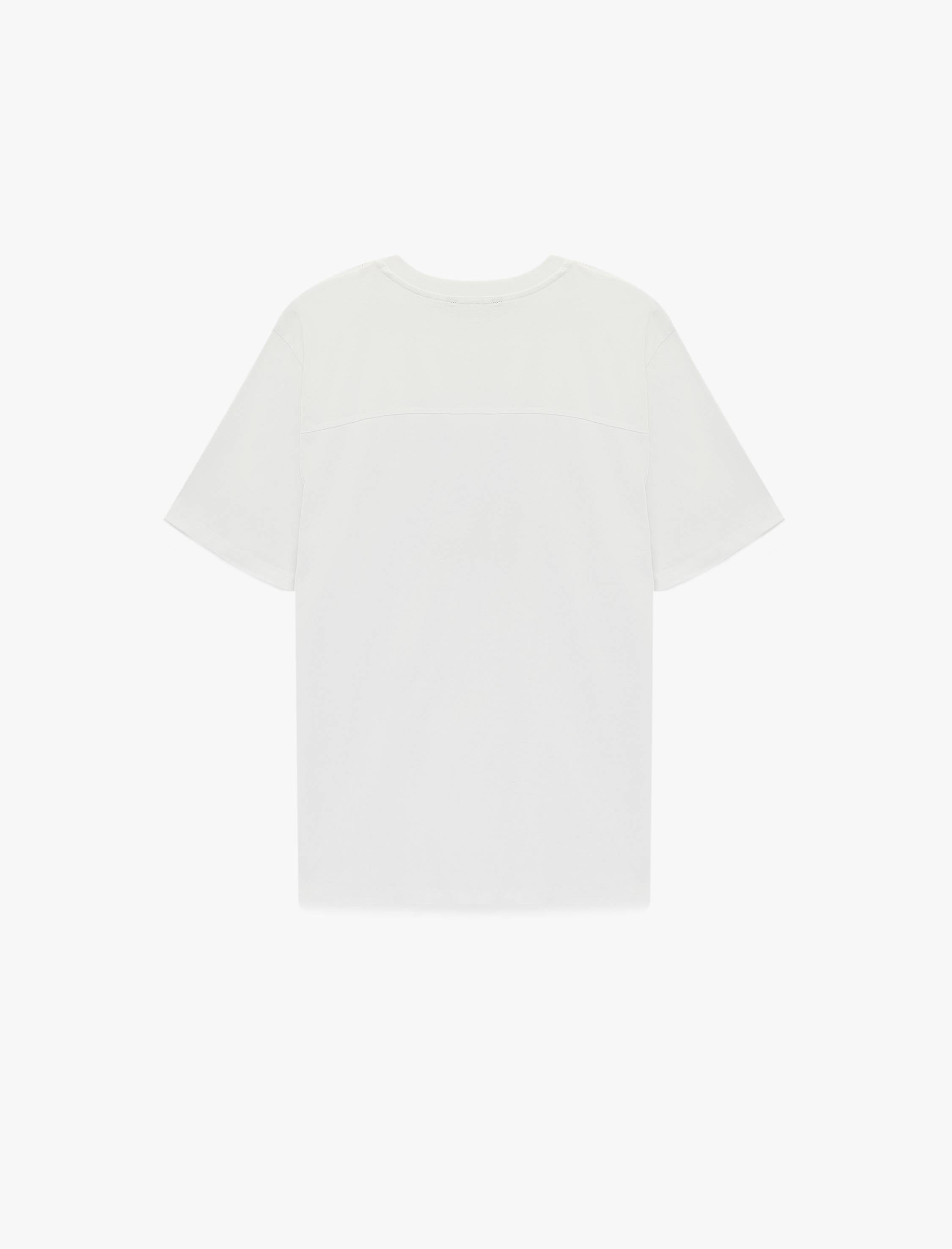   Regular Fit Kısa Kollu Bisiklet Yaka Pamuklu Baskılı Tişört