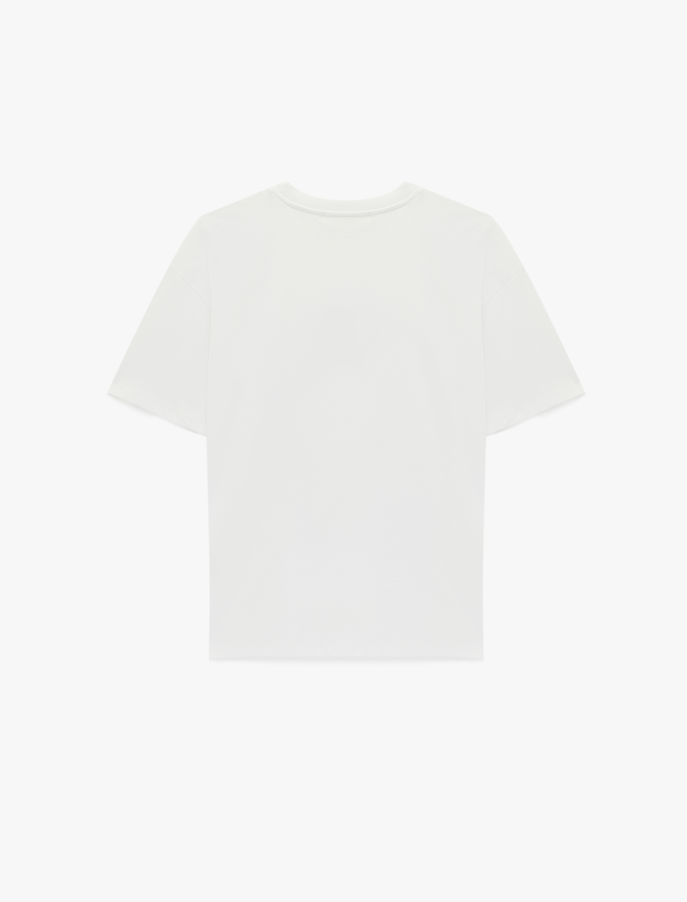   Kısa Kollu Bisiklet Yaka Köpek Nakışlı Pamuklu Oversize Tişört