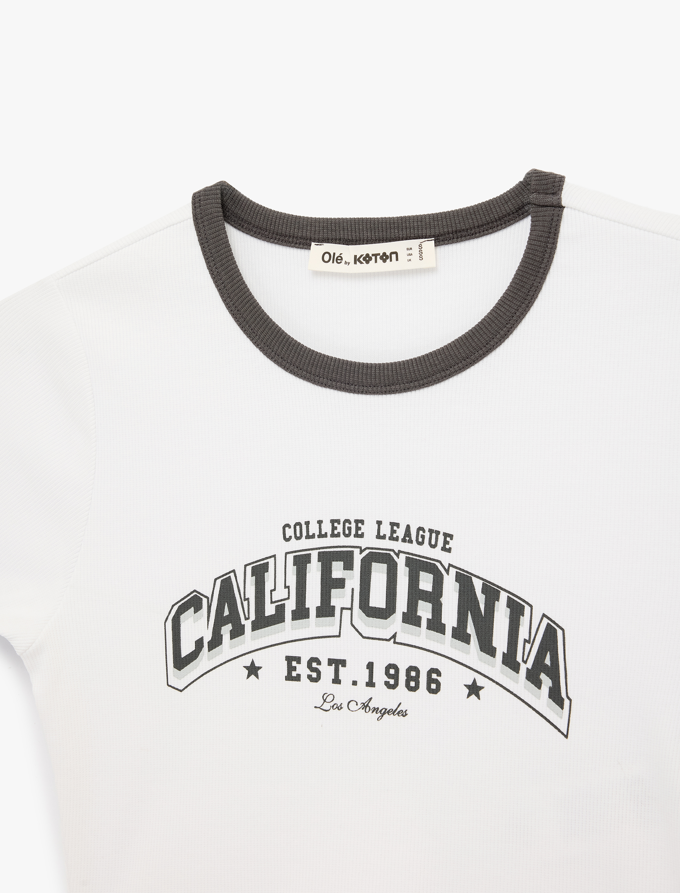   Slim Fit Biyeli Kısa Kollu Bisiklet Yaka Pamuklu Baskılı Tişört