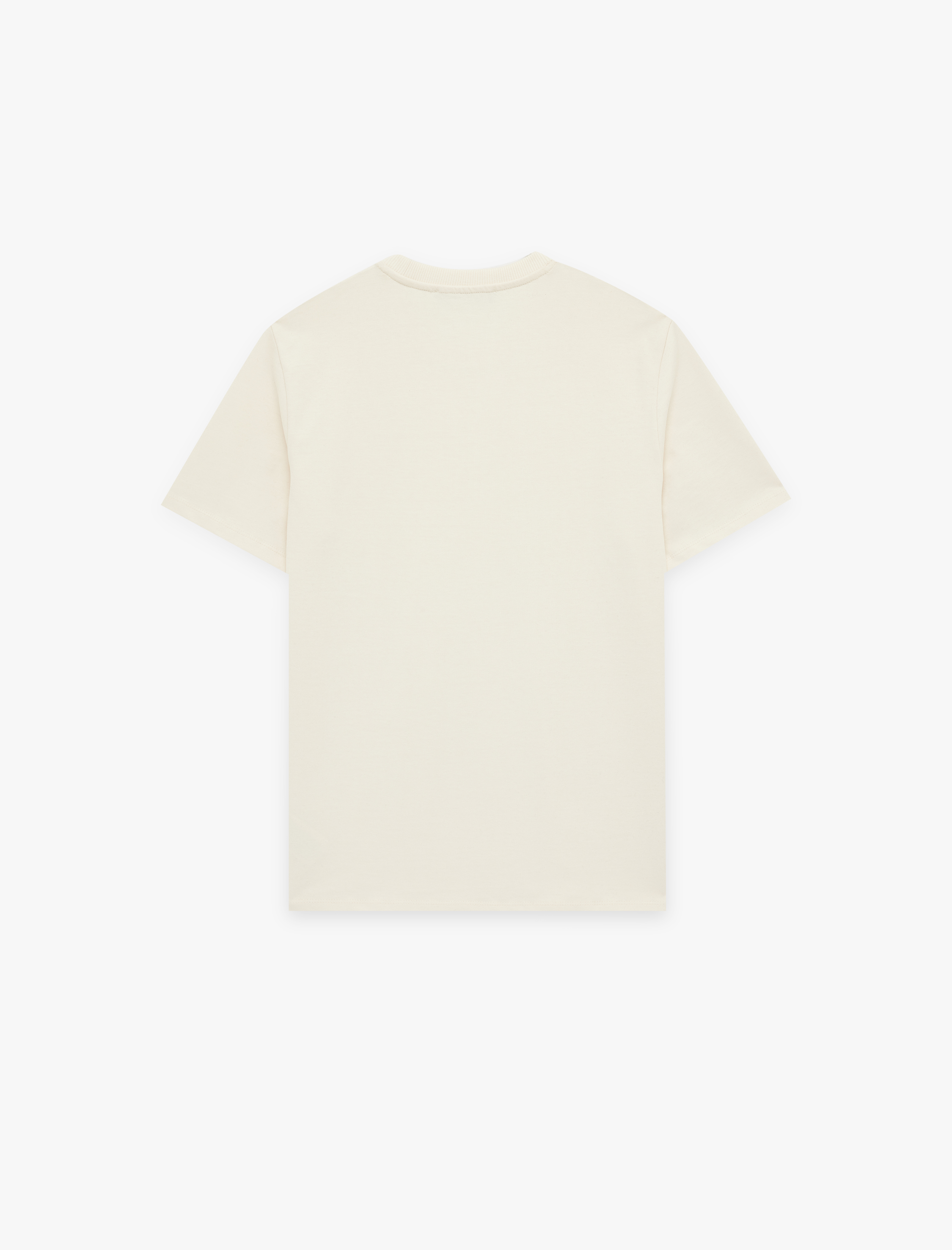   Pamuklu Regular Fit Kısa Kollu Basic Bisiklet Yaka Tişört