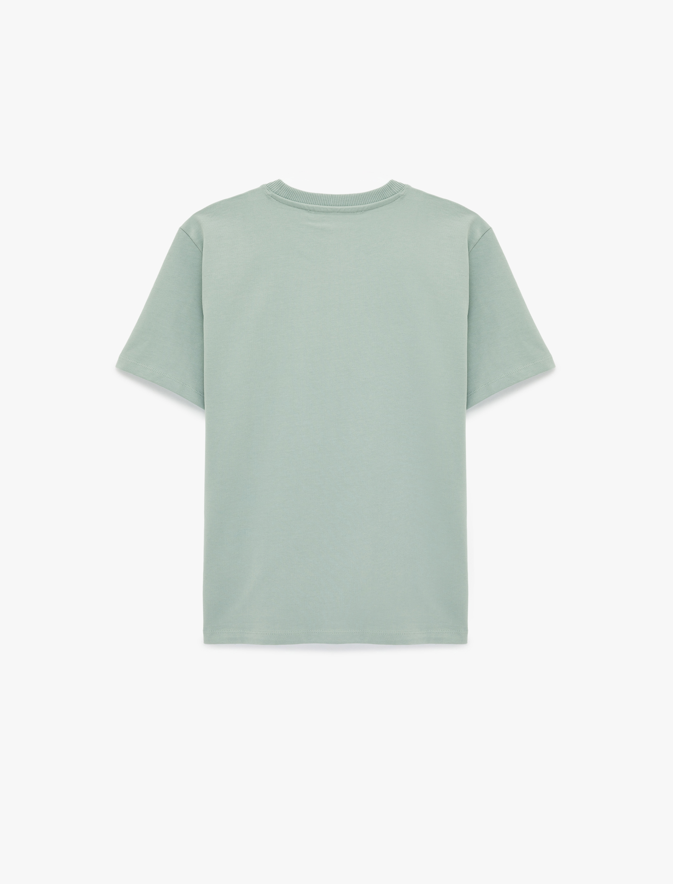   Pamuklu Regular Fit Kısa Kollu Basic Bisiklet Yaka Tişört