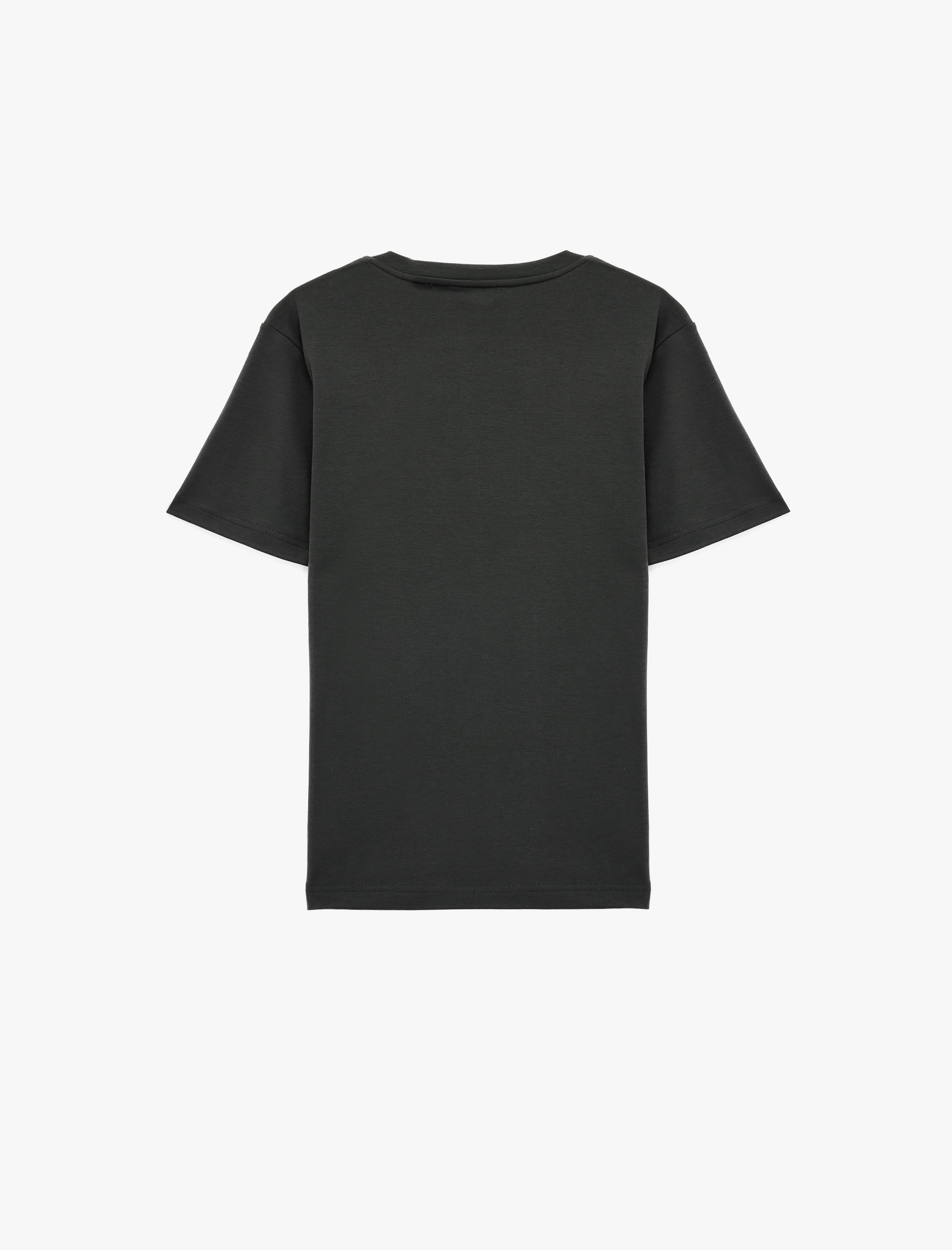   Regular Fit Kısa Kollu Pamuklu Bisiklet Yaka Tişört