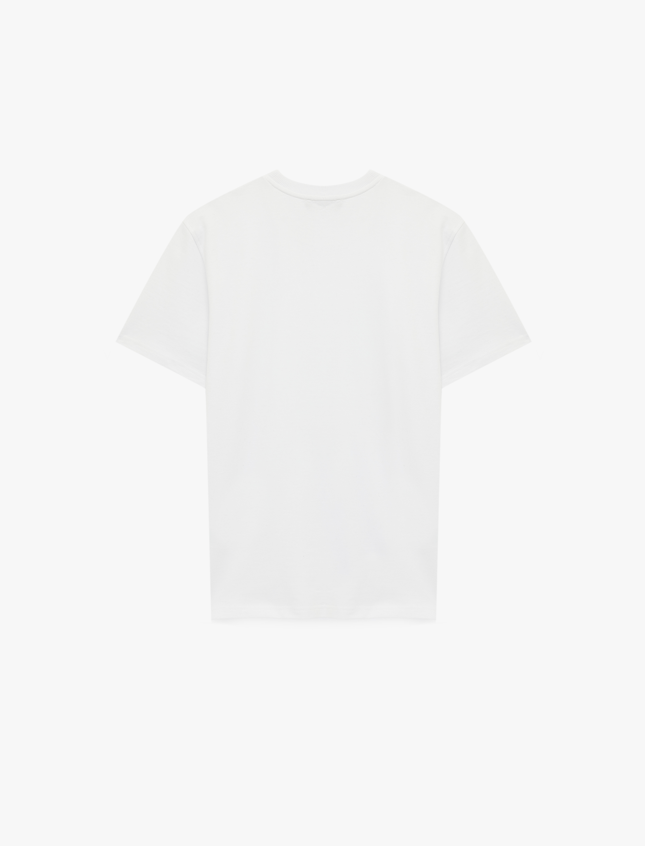   Regular Fit Kısa Kollu Bisiklet Yaka Pamuklu Basic Tişört