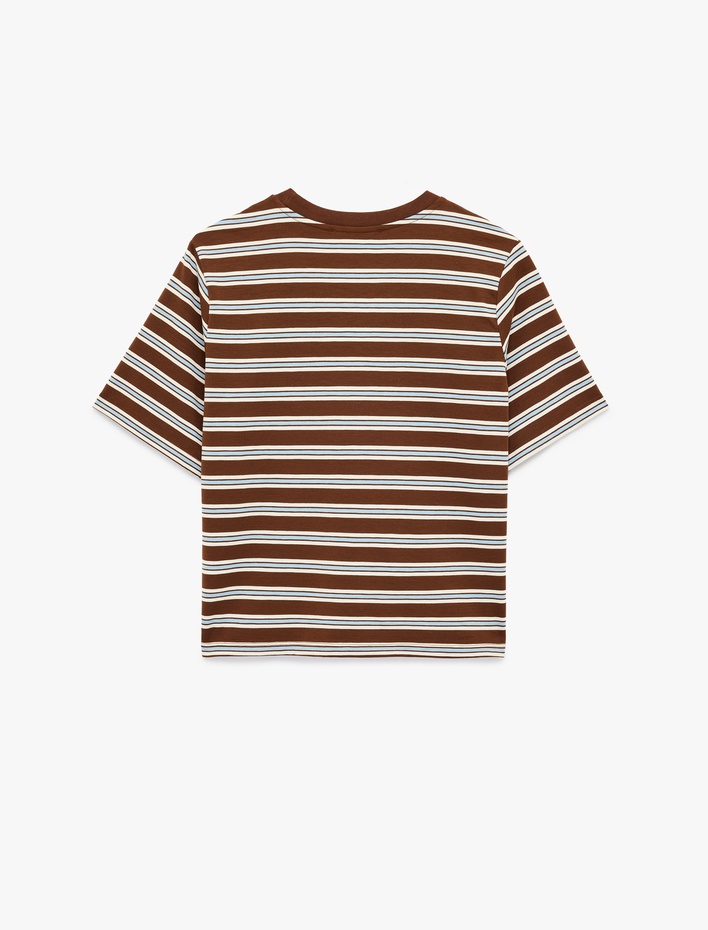  Regular Fit Kısa Kollu Bisiklet Yaka Çizgili Tişört