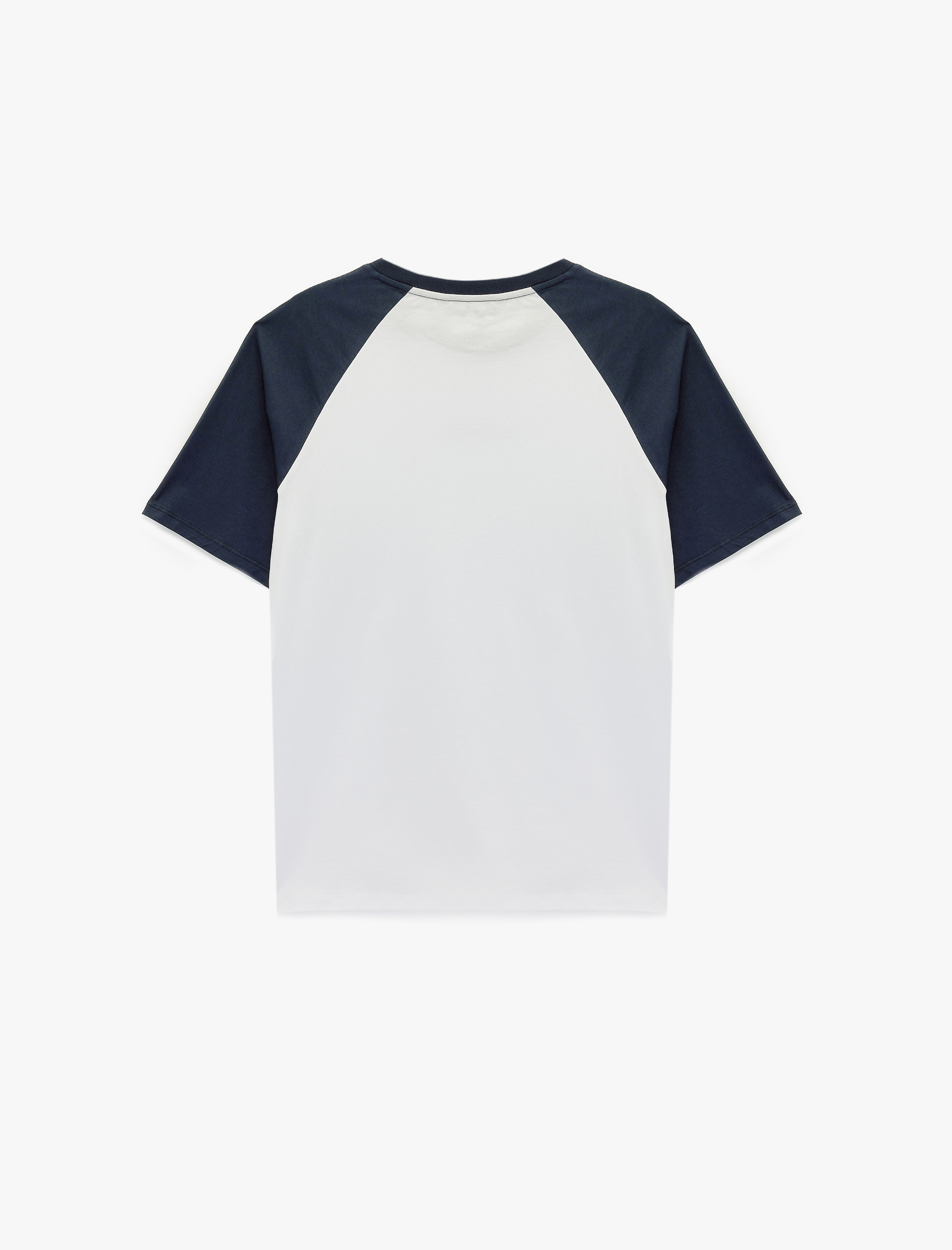   Regular Fit Renk Kontrastlı Reglan Kısa Kollu Bisiklet Yaka Pamuklu Baskılı Spor Tişört