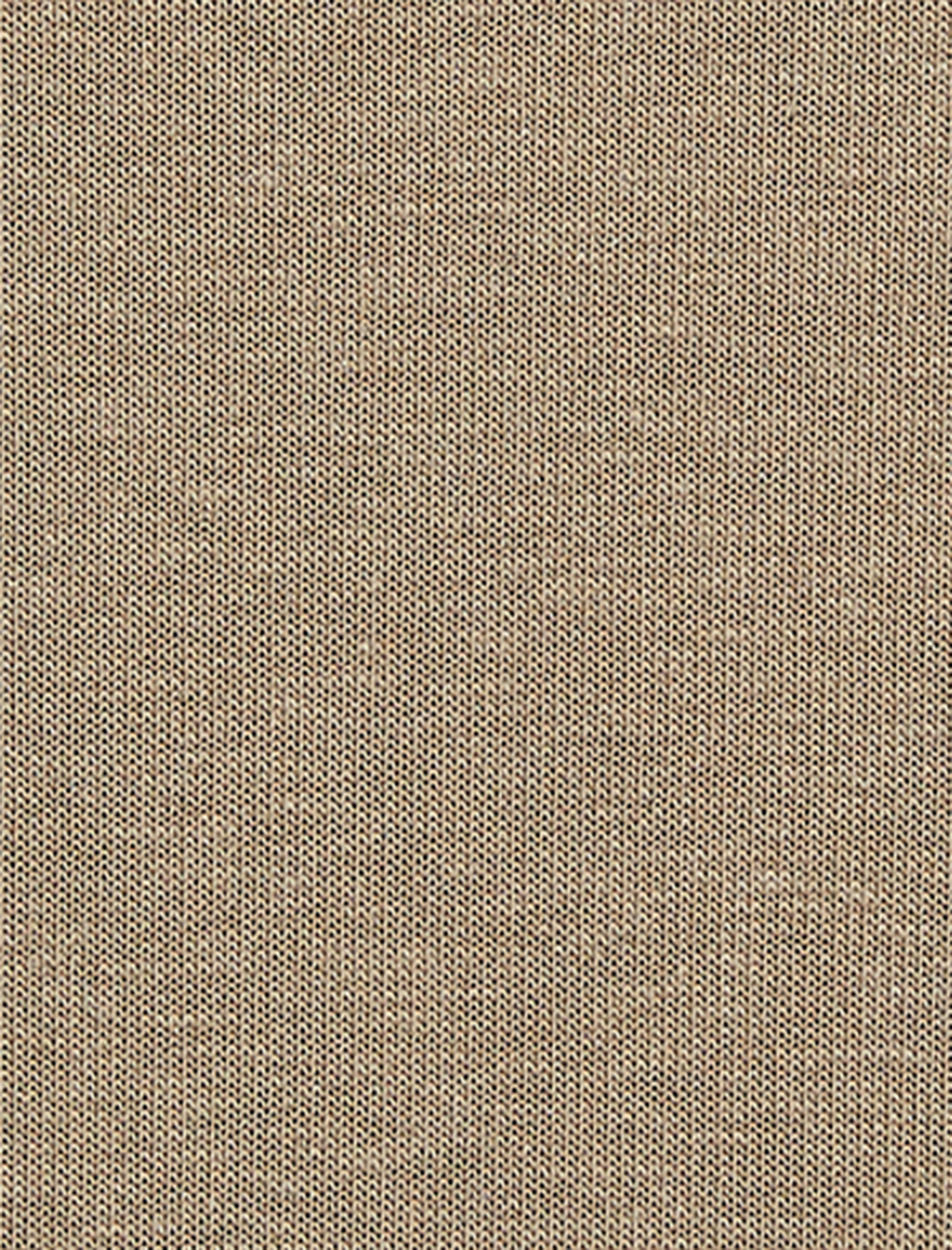   Bisiklet Yaka Rahat Kesim Kısa Kollu Spor Sweatshirt