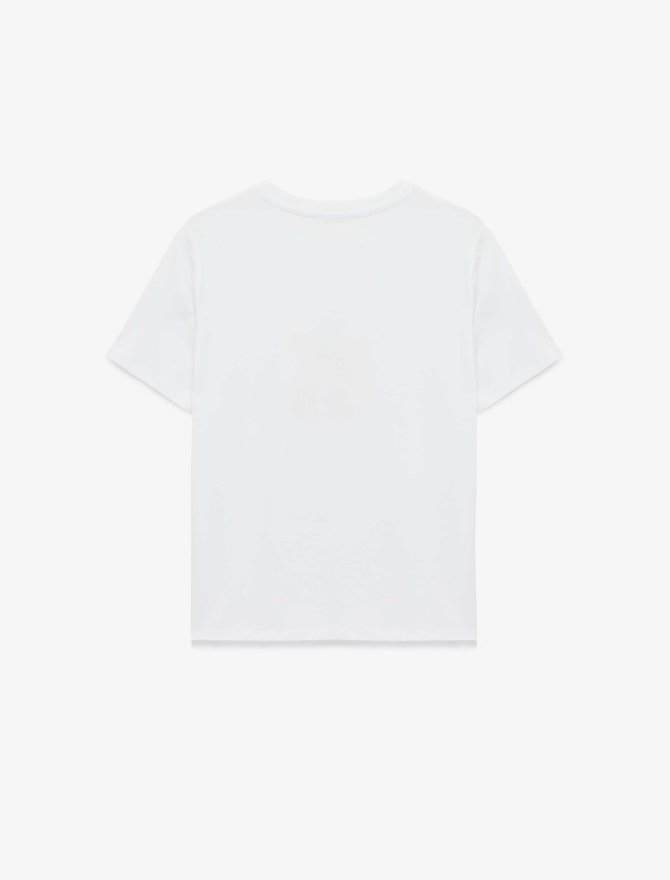   Rahat Kalıp Kısa Kollu Bisiklet Yaka Pamuklu Limon Baskılı Tişört