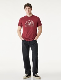 Regular Fit Kısa Kollu Bisiklet Yaka Pamuklu Baskılı Tişört