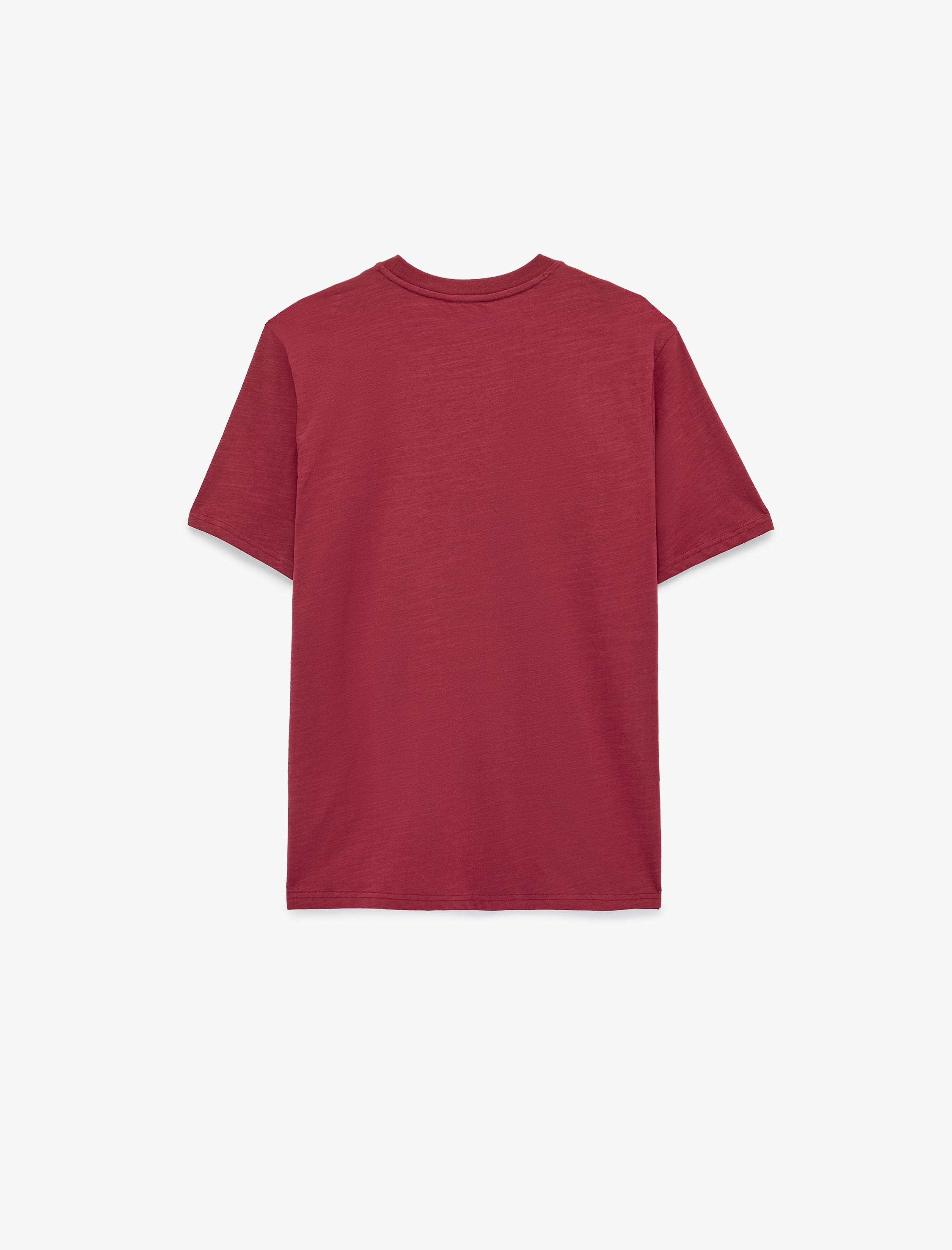   Regular Fit Kısa Kollu Bisiklet Yaka Pamuklu Baskılı Tişört