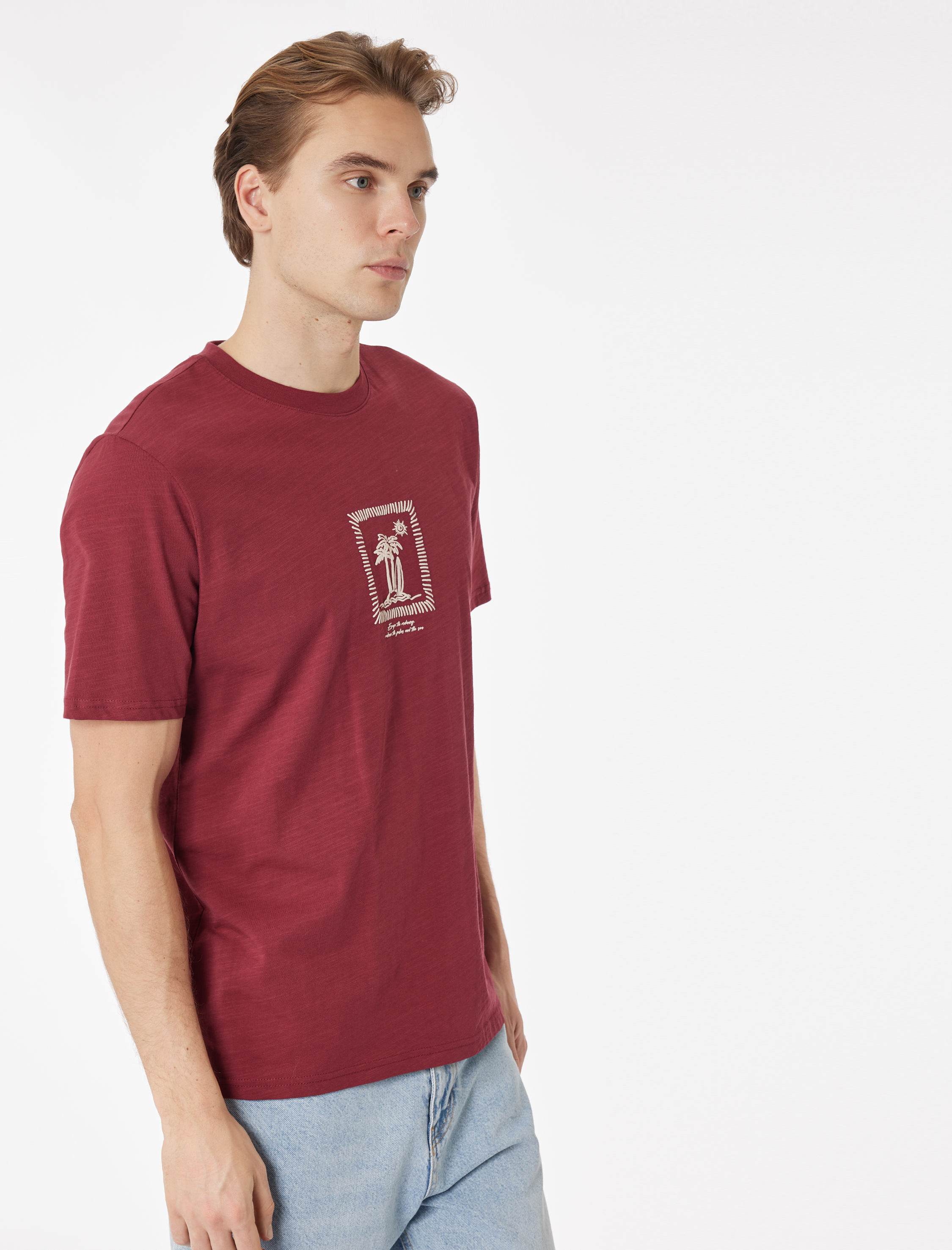   Regular Fit Kısa Kollu Bisiklet Yaka Pamuklu Baskılı Tişört