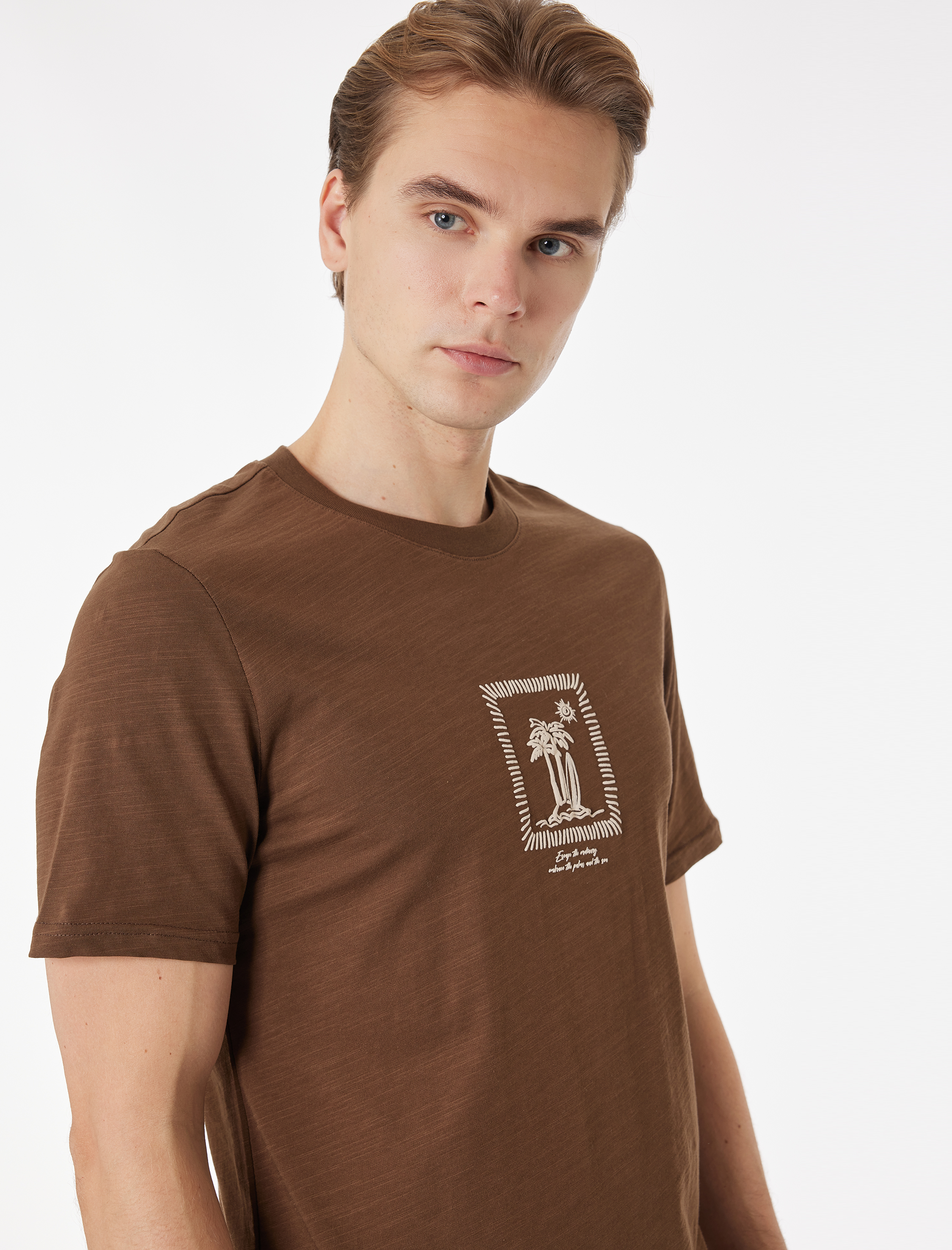   Regular Fit Kısa Kollu Bisiklet Yaka Pamuklu Baskılı Tişört