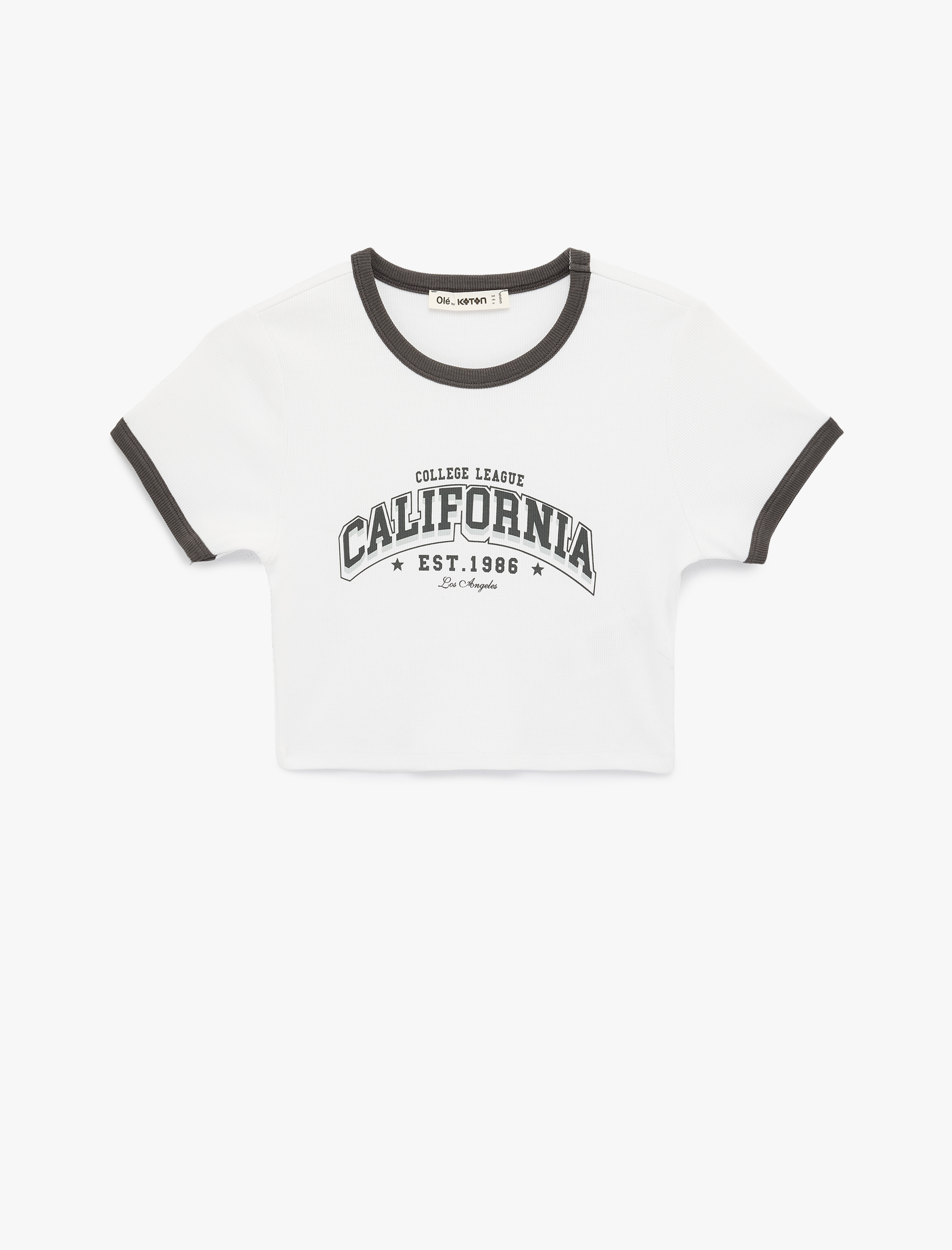   Slim Fit Biyeli Kısa Kollu Bisiklet Yaka Pamuklu Baskılı Tişört