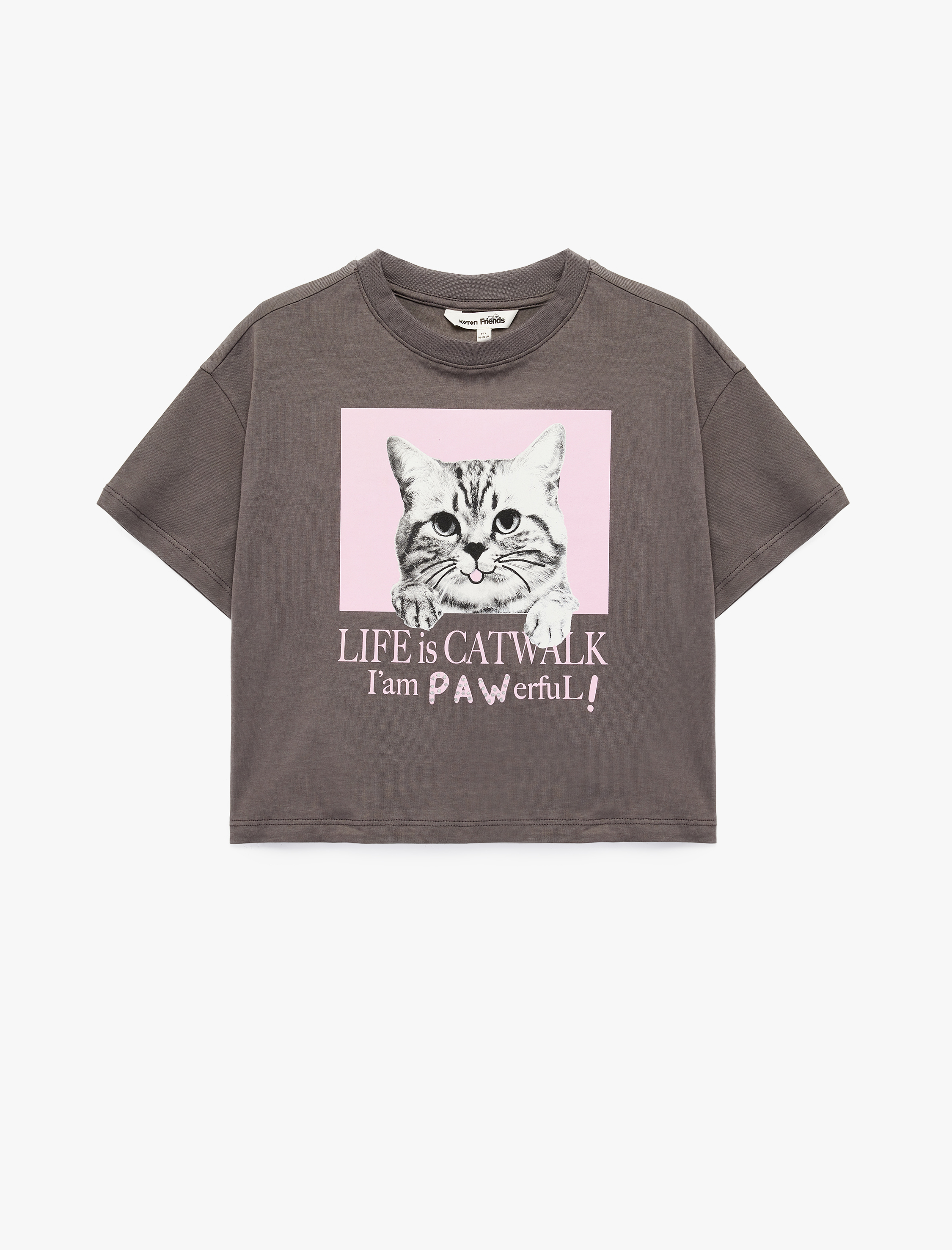  Kız Çocuk Kısa Kollu Bisiklet Yaka Pamuklu Kedi Baskılı Tişört