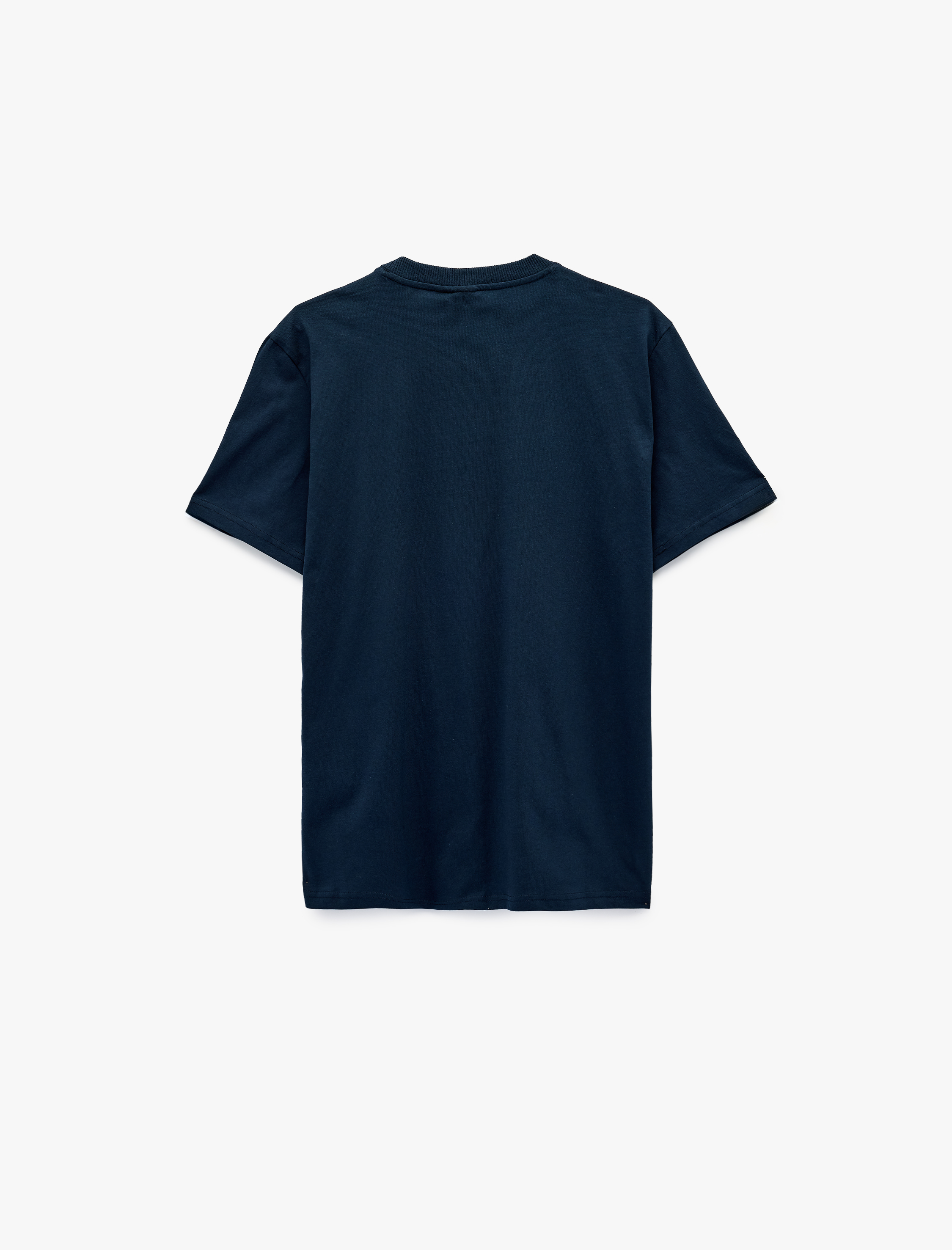   Regular Fit Kısa Kollu Bisiklet Yaka Renk Bloklu Baskılı Lisanslı Yale Tişört