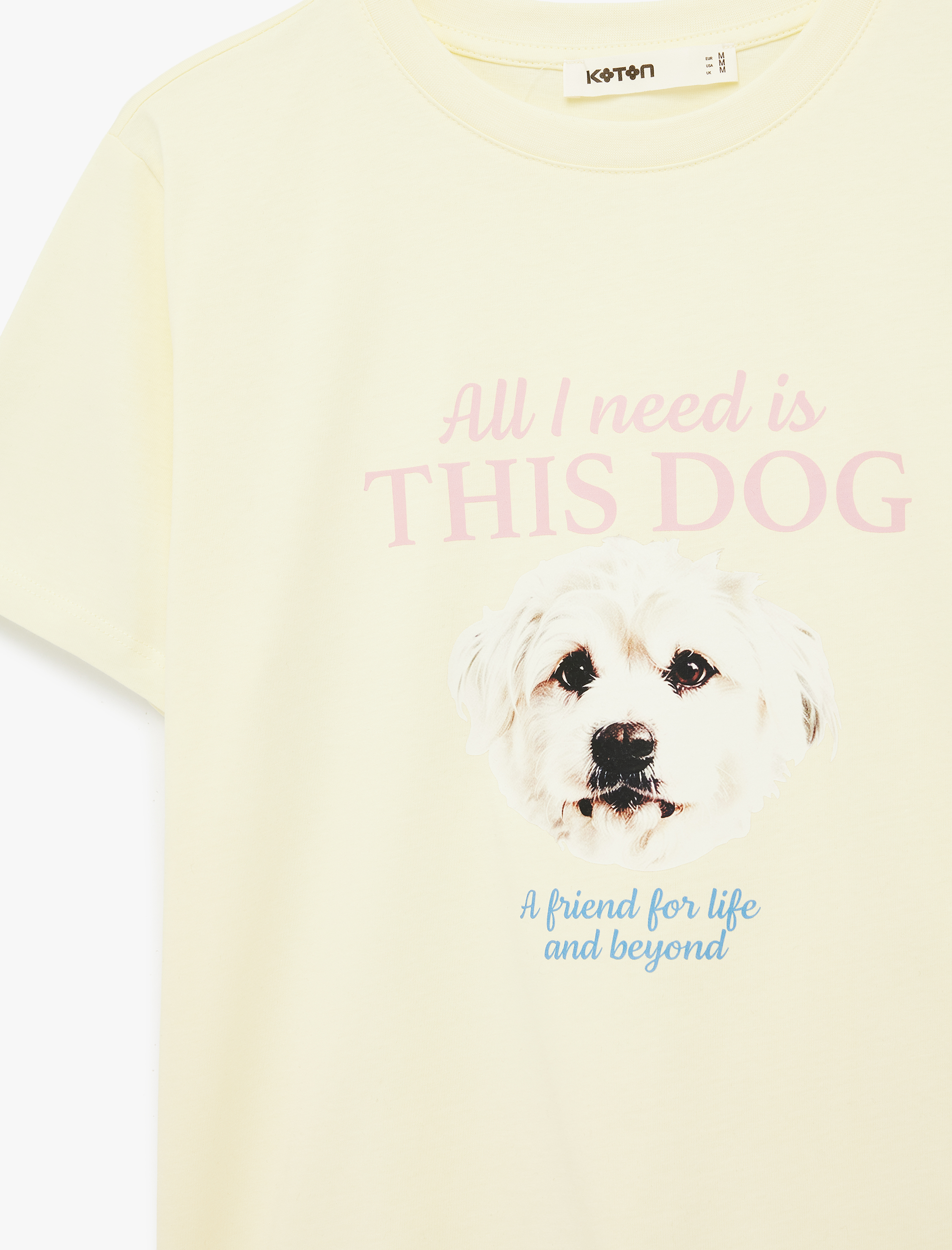   Kısa Kollu Bisiklet Yaka Pamuklu Köpek Baskılı Tişört