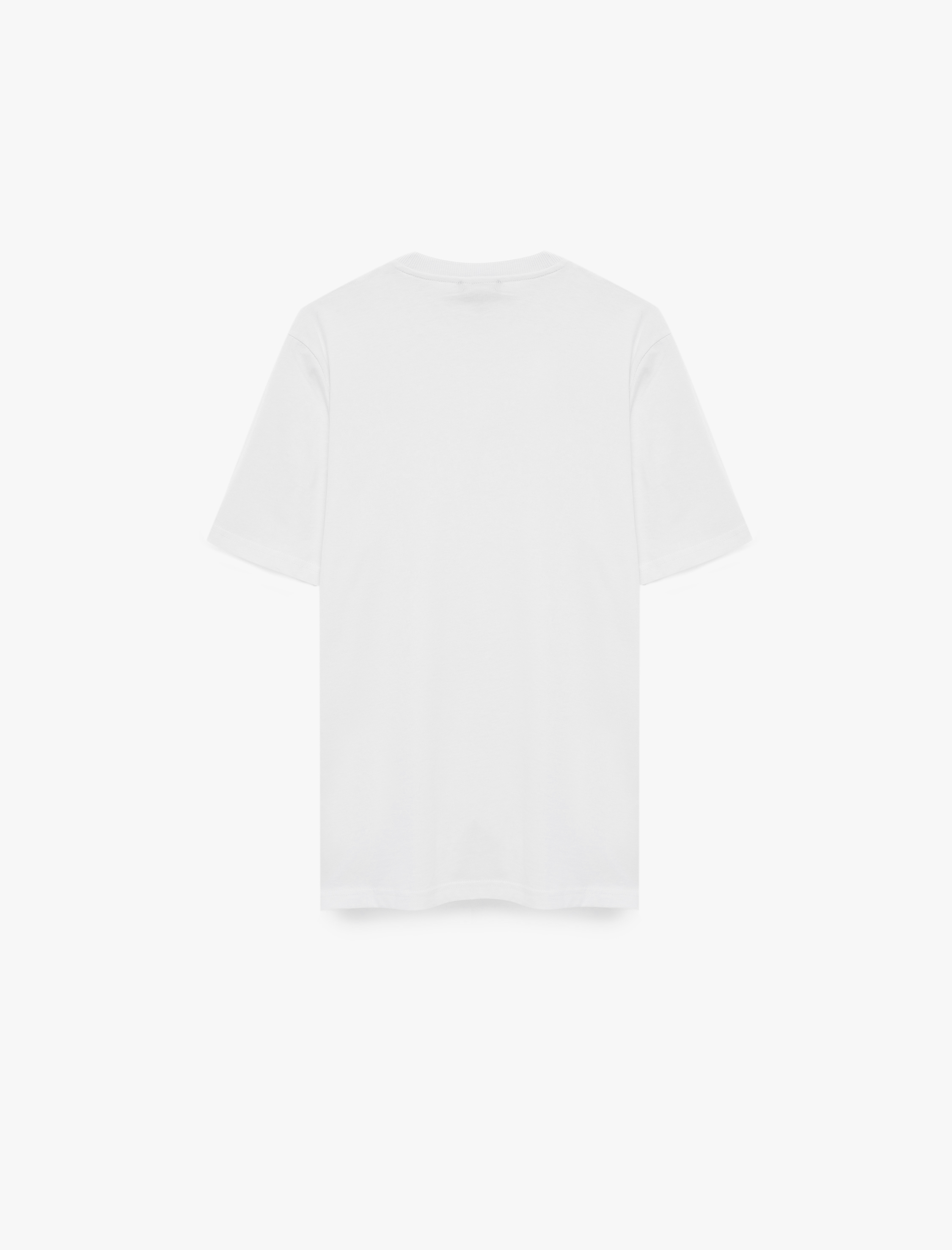   Regular Fit Bisiklet Yaka Pamuklu Baskılı Kısa Kollu Tişört