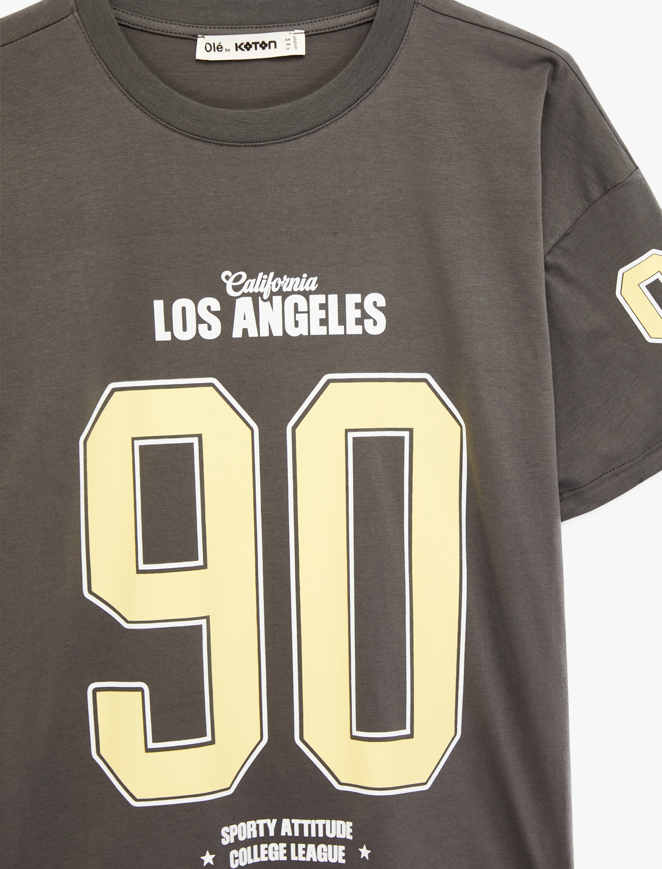   Kısa Kollu Bisiklet Yaka Pamuklu Baskılı Oversize Tişört