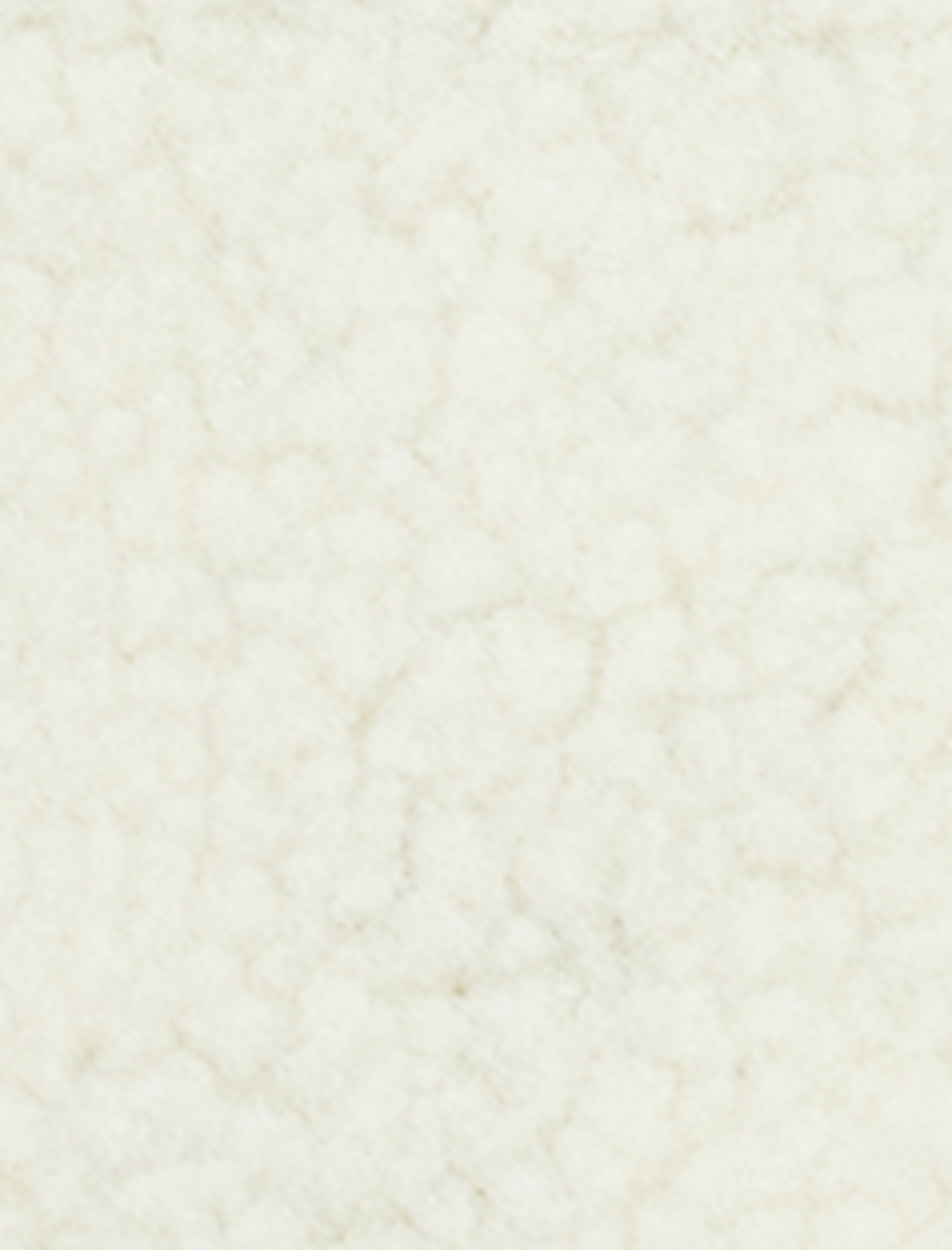   Cep Detaylı Kapüşonlu Fermuarlı Peluş Ceket