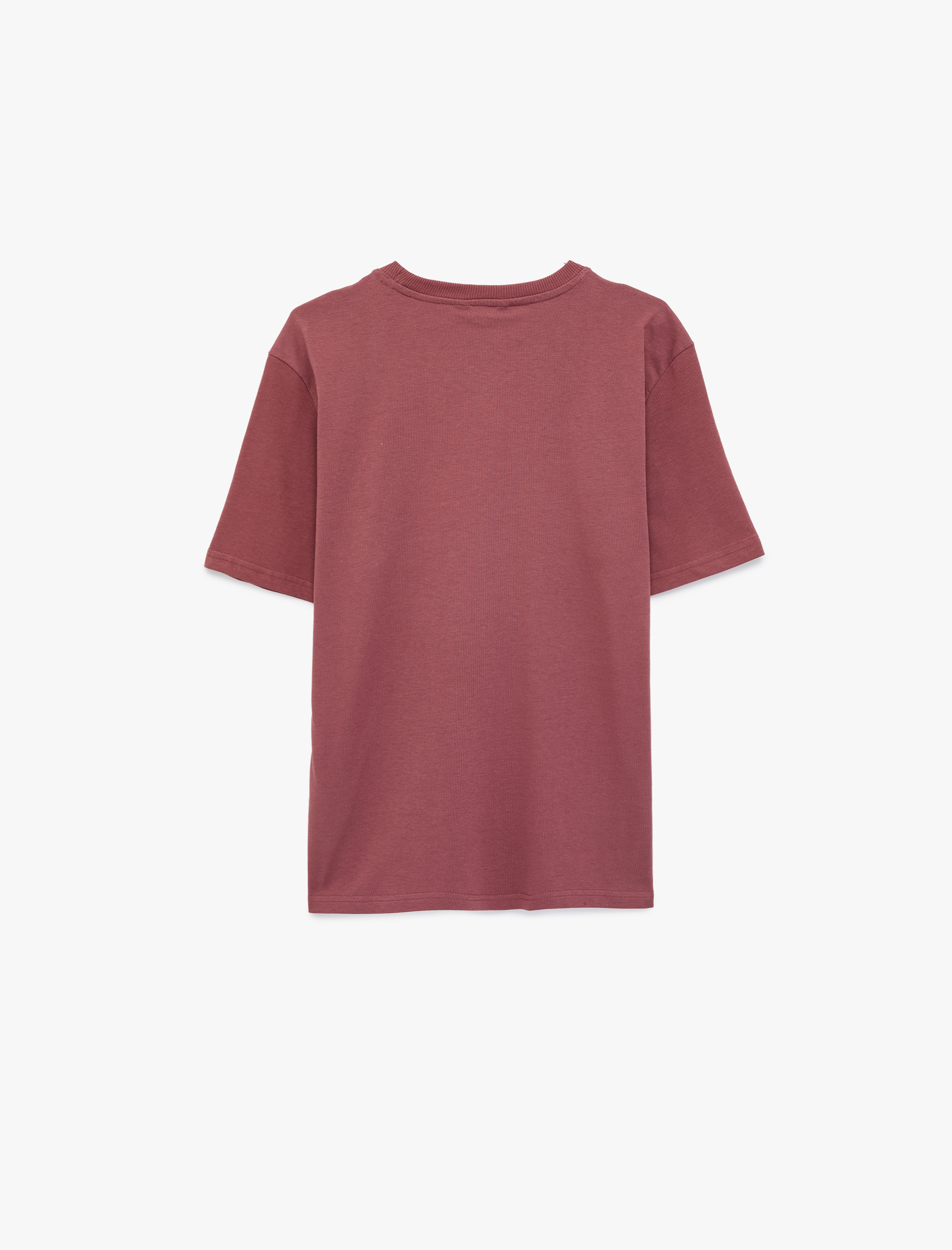   Regular Fit Bisiklet Yaka Pamuklu Basic Kısa Kollu Tişört