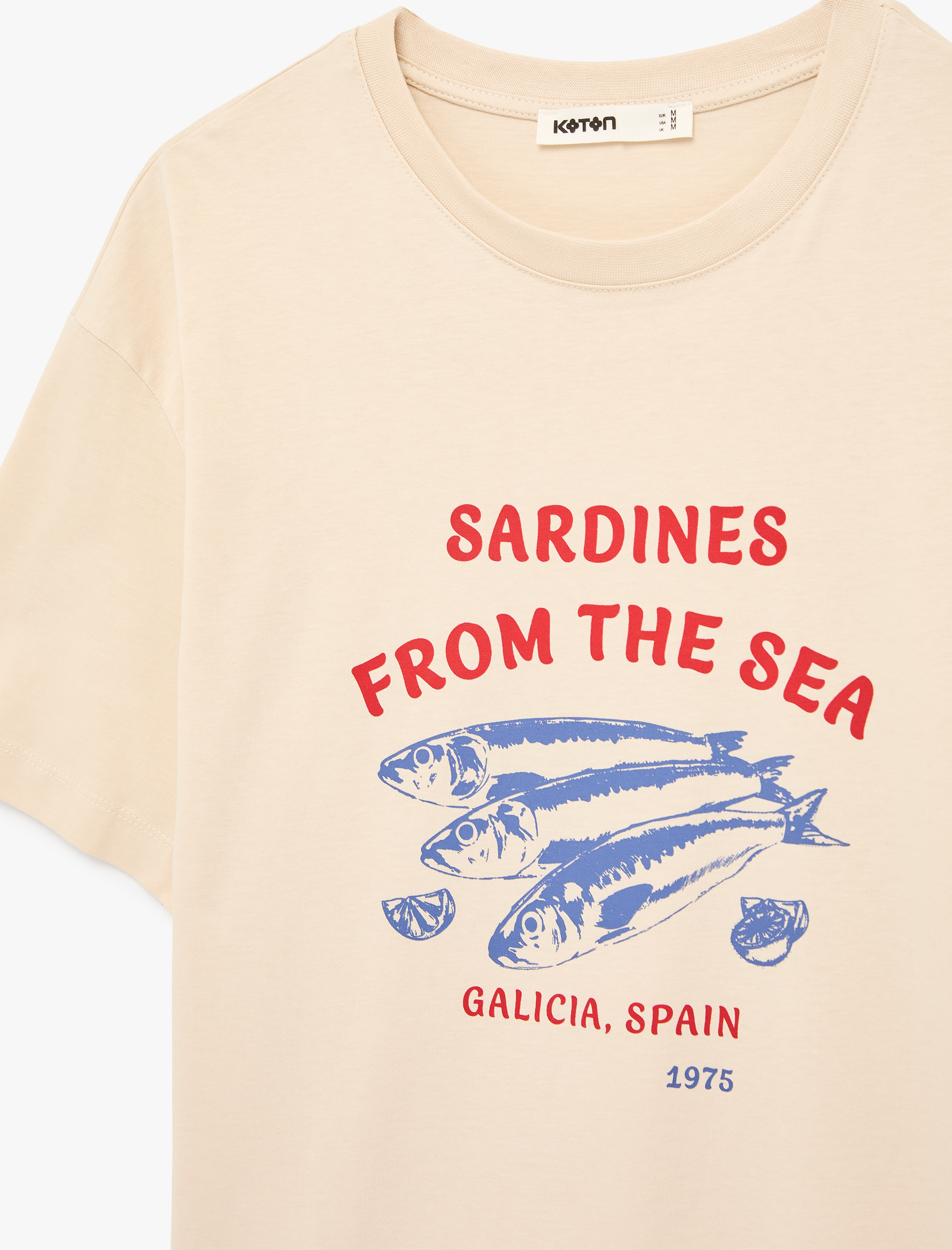   Pamuklu Kısa Kollu Bisiklet Yaka Grafik Sardalya Baskılı Oversize Tişört