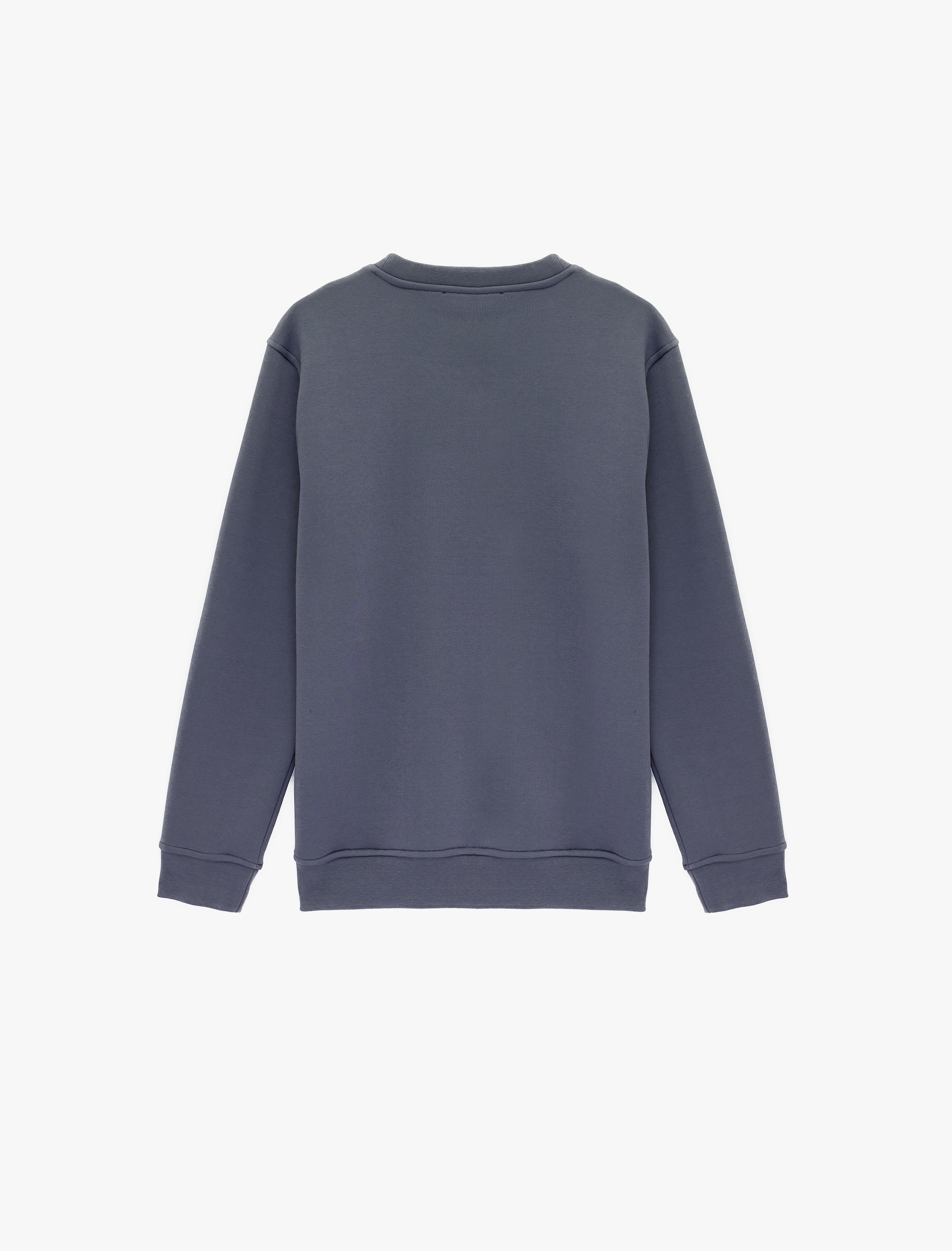   Uzun Kollu Şardonlu Baskılı Bisiklet Yaka Sweatshirt