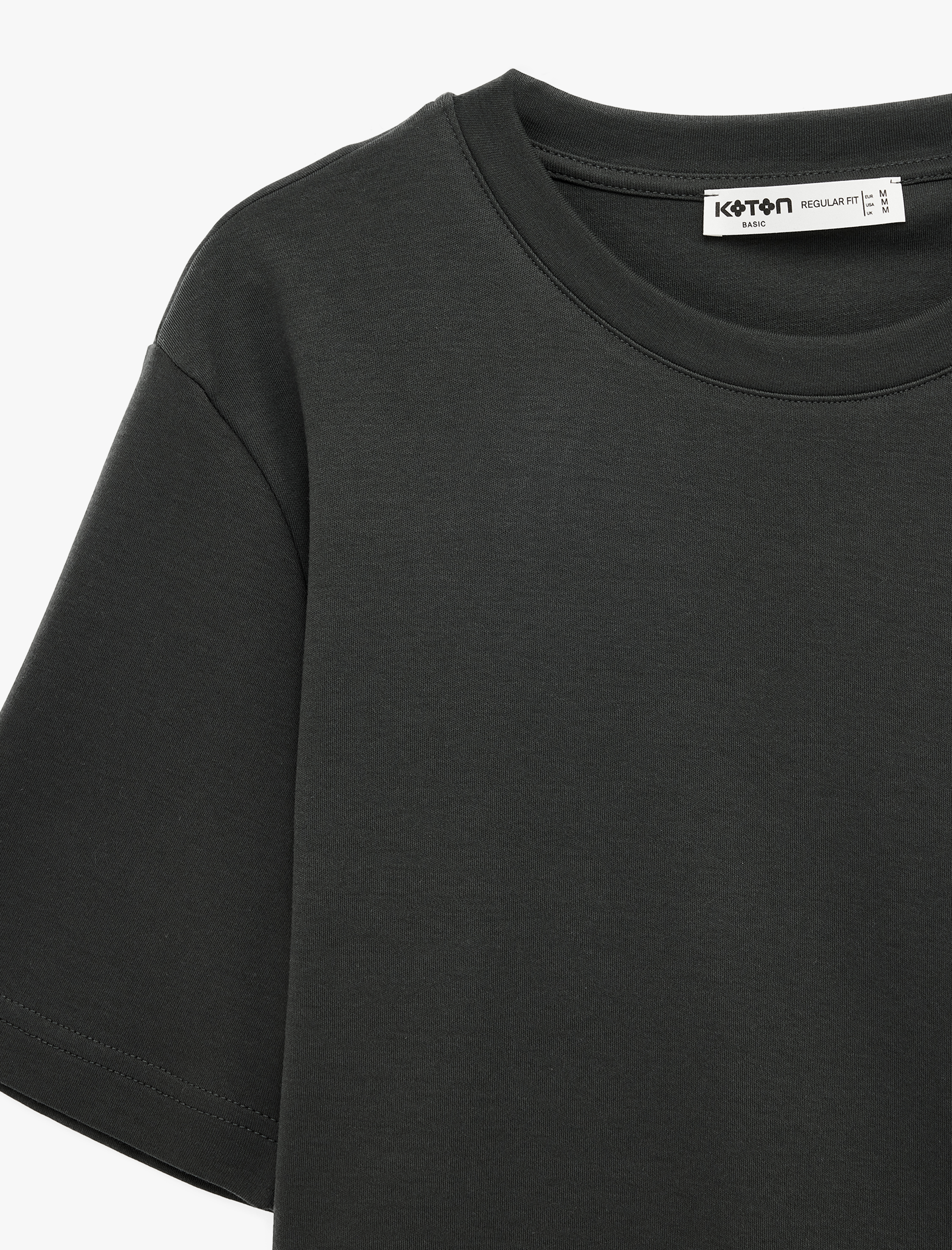   Regular Fit Kısa Kollu Pamuklu Bisiklet Yaka Tişört