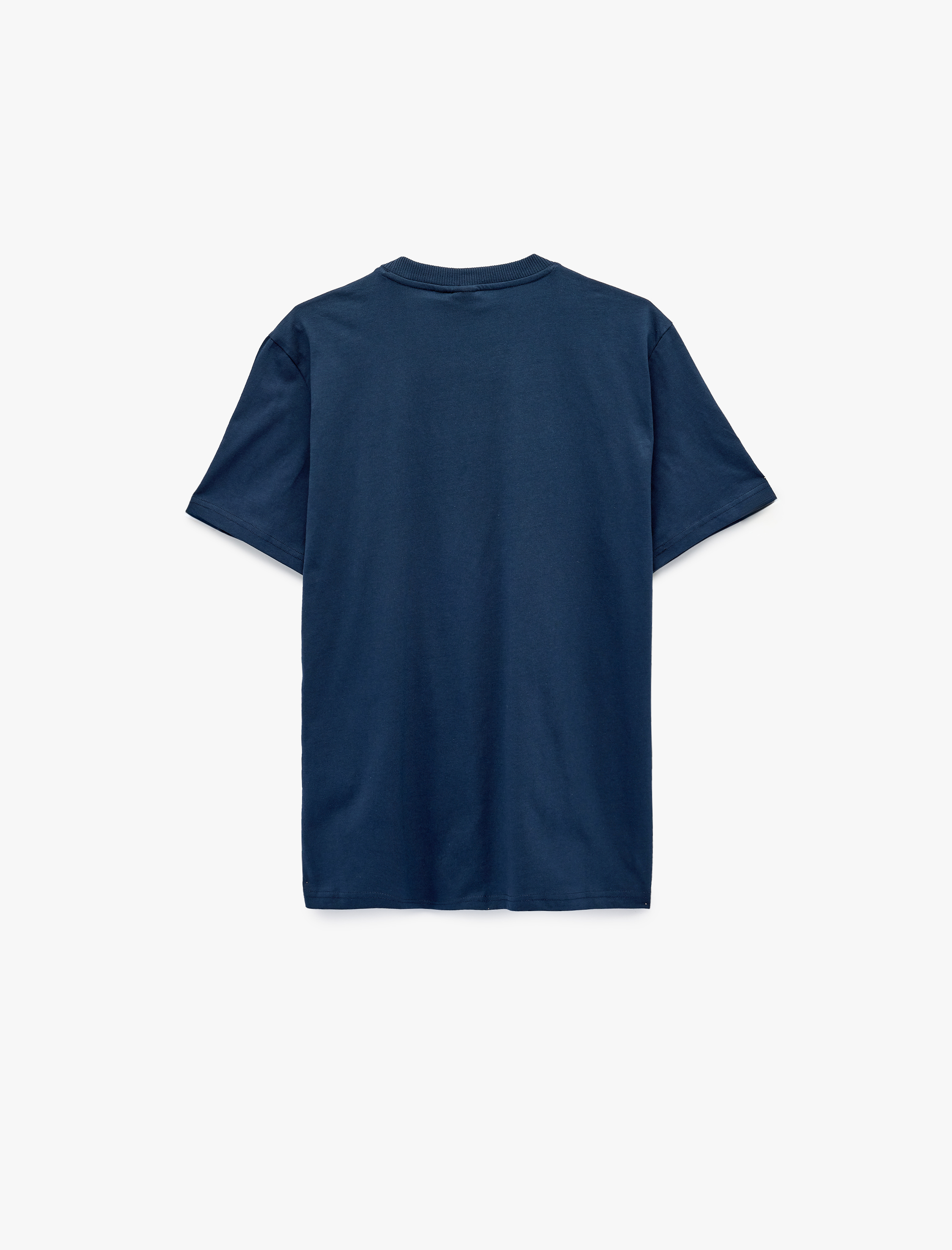   Regular Fit Kısa Kollu Bisiklet Yaka Renk Bloklu Baskılı Lisanslı Yale Tişört