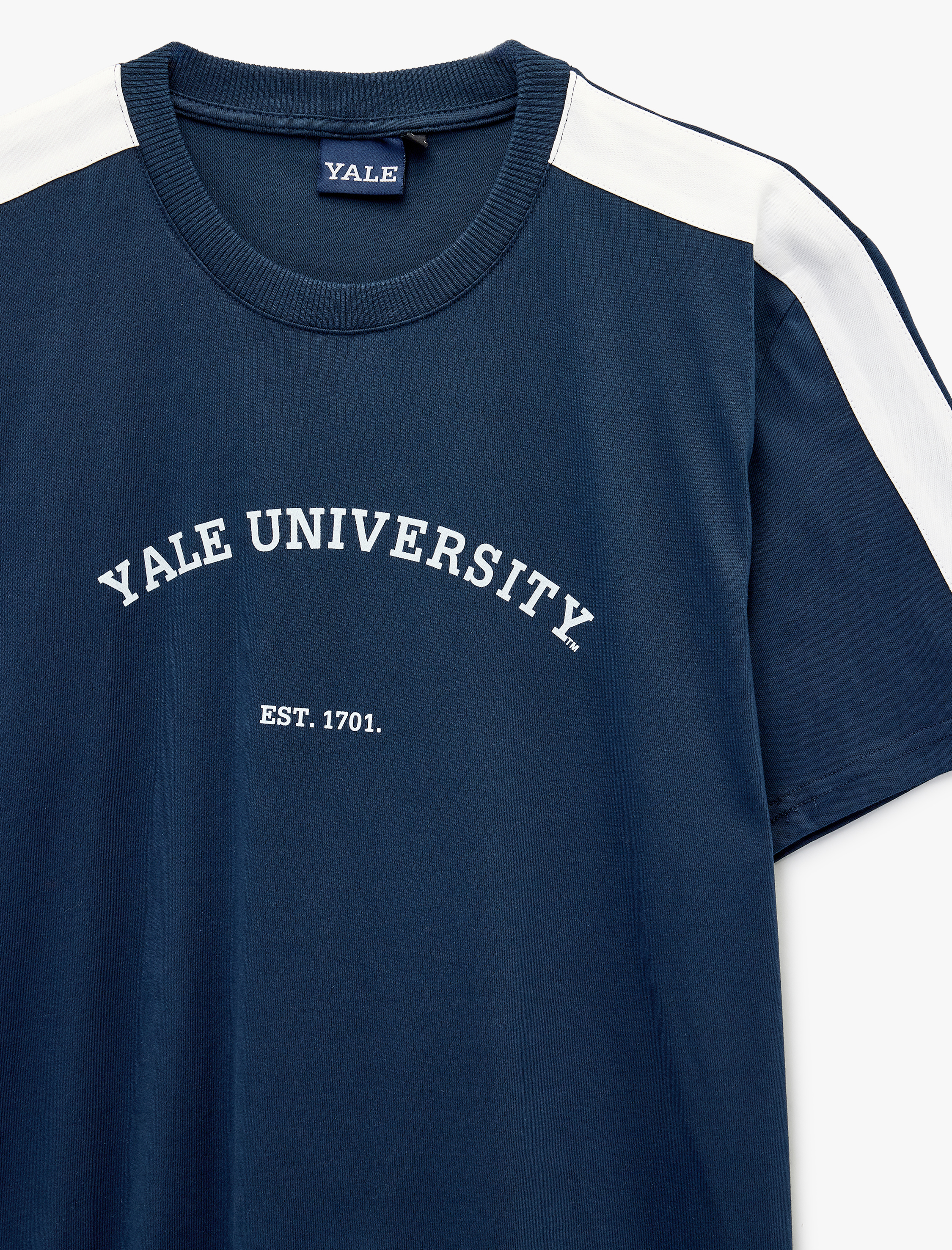   Regular Fit Kısa Kollu Bisiklet Yaka Renk Bloklu Baskılı Lisanslı Yale Tişört