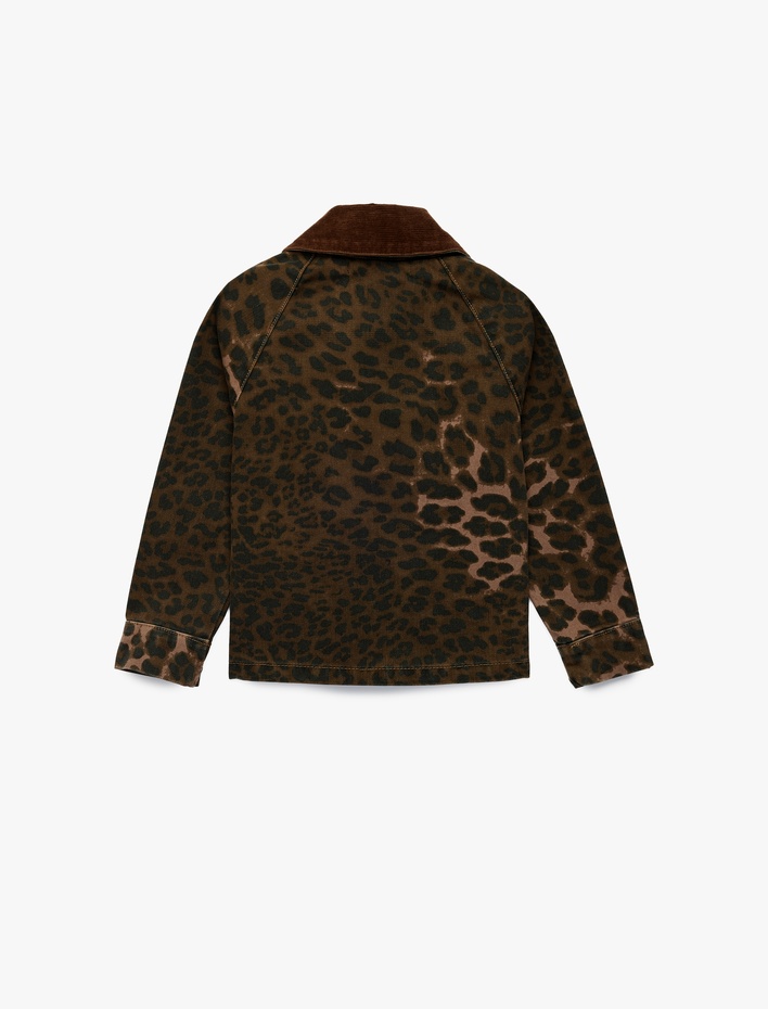 Kız Çocuk Pamuklu Uzun Kollu Oversize Polo Yaka Leopar Desenli Jean Ceket