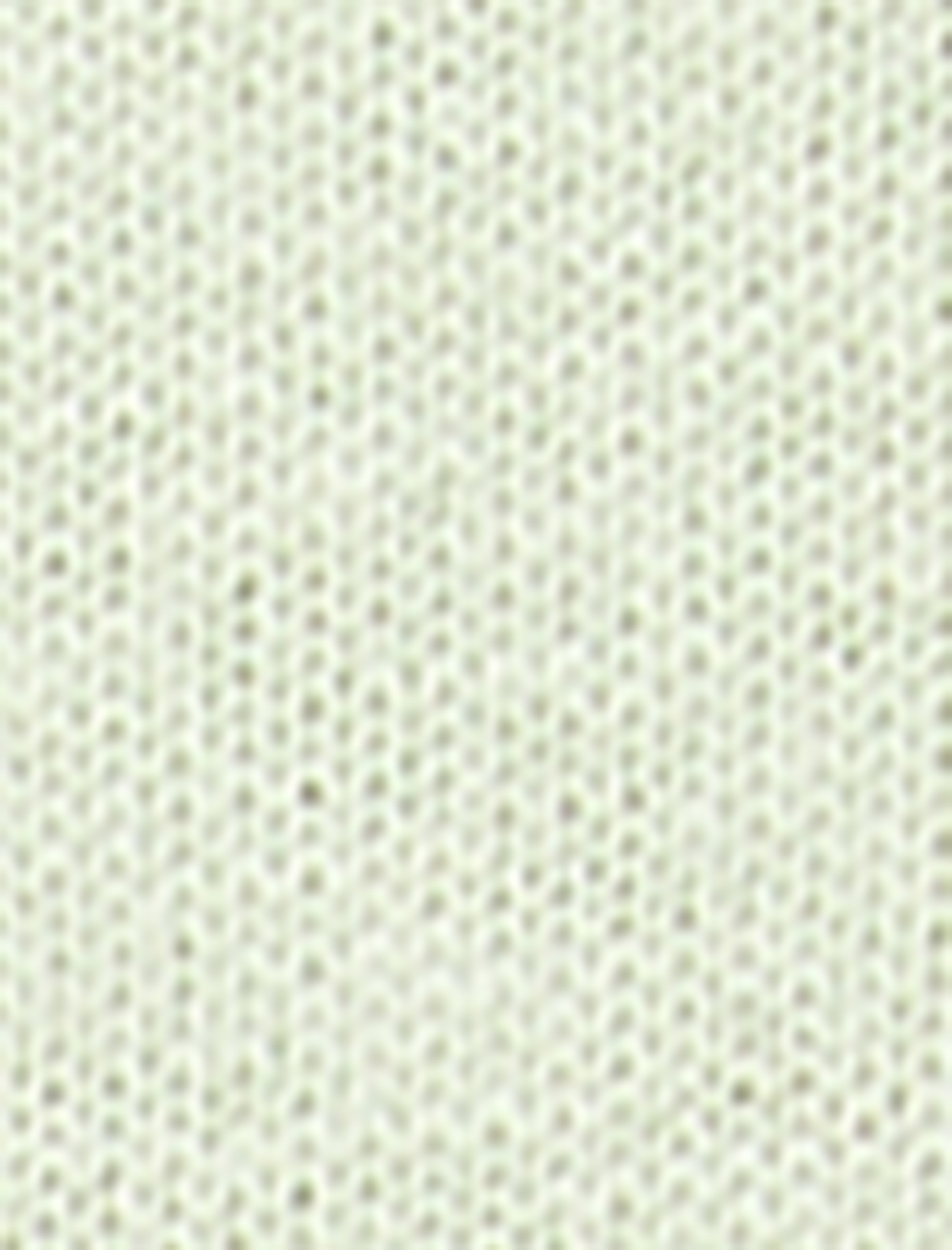 Cotton Dəyirmi yaxa Qısaqol Çaplı Tişört