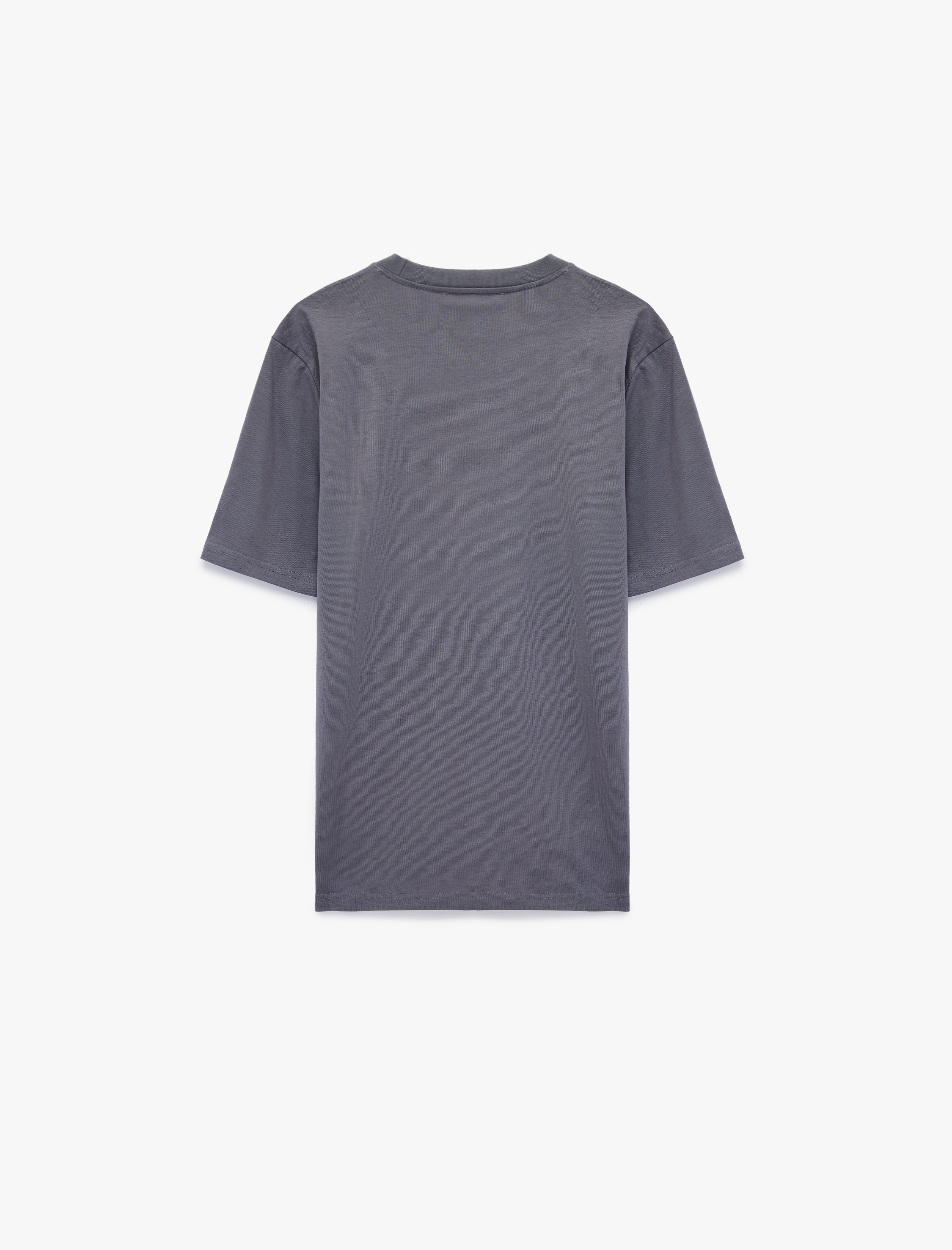   Regular Fit Bisiklet Yaka Pamuklu Basic Kısa Kollu Tişört