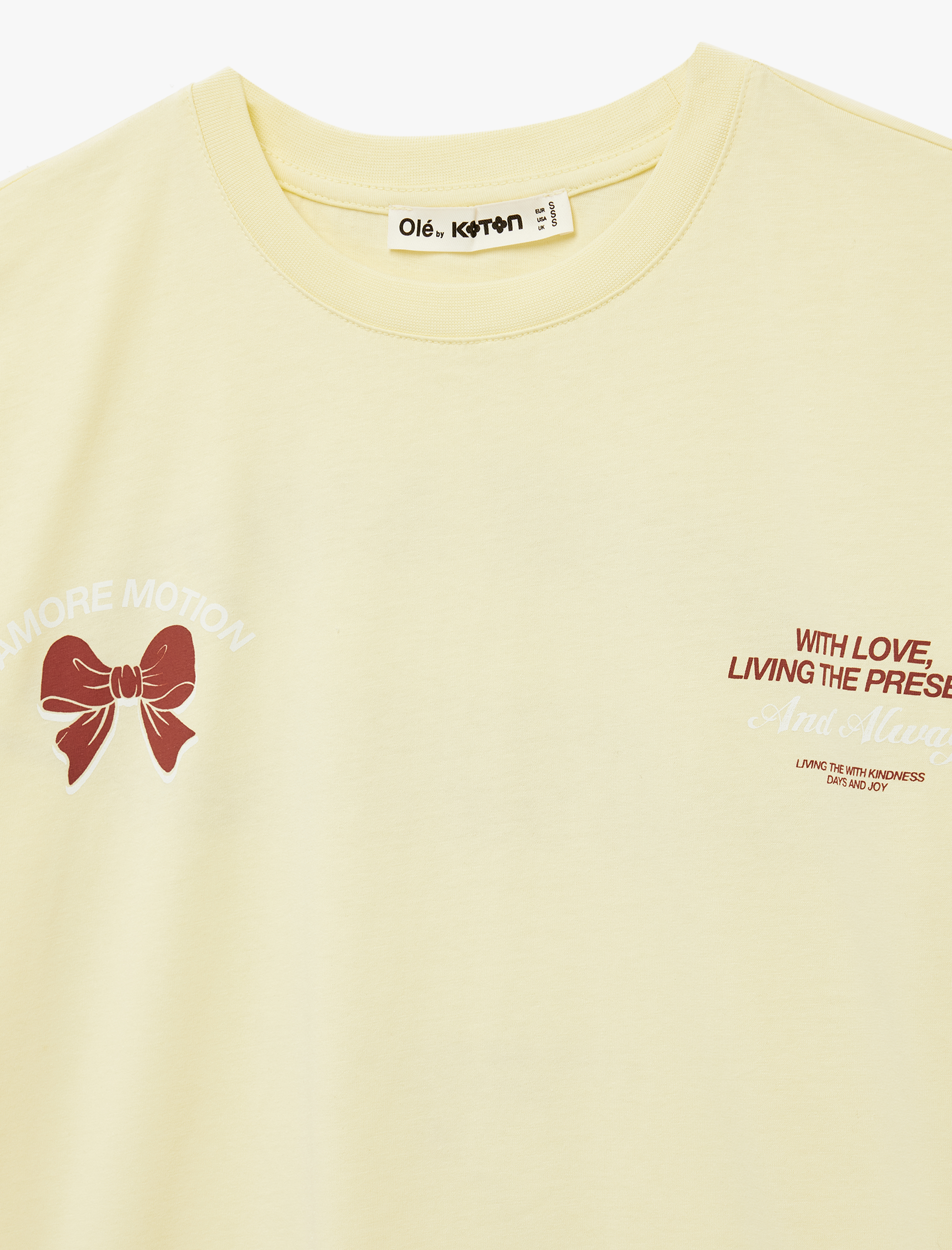   Kısa Kollu Bisiklet Yaka Fiyonklu Arkası Baskılı Oversize Tişört