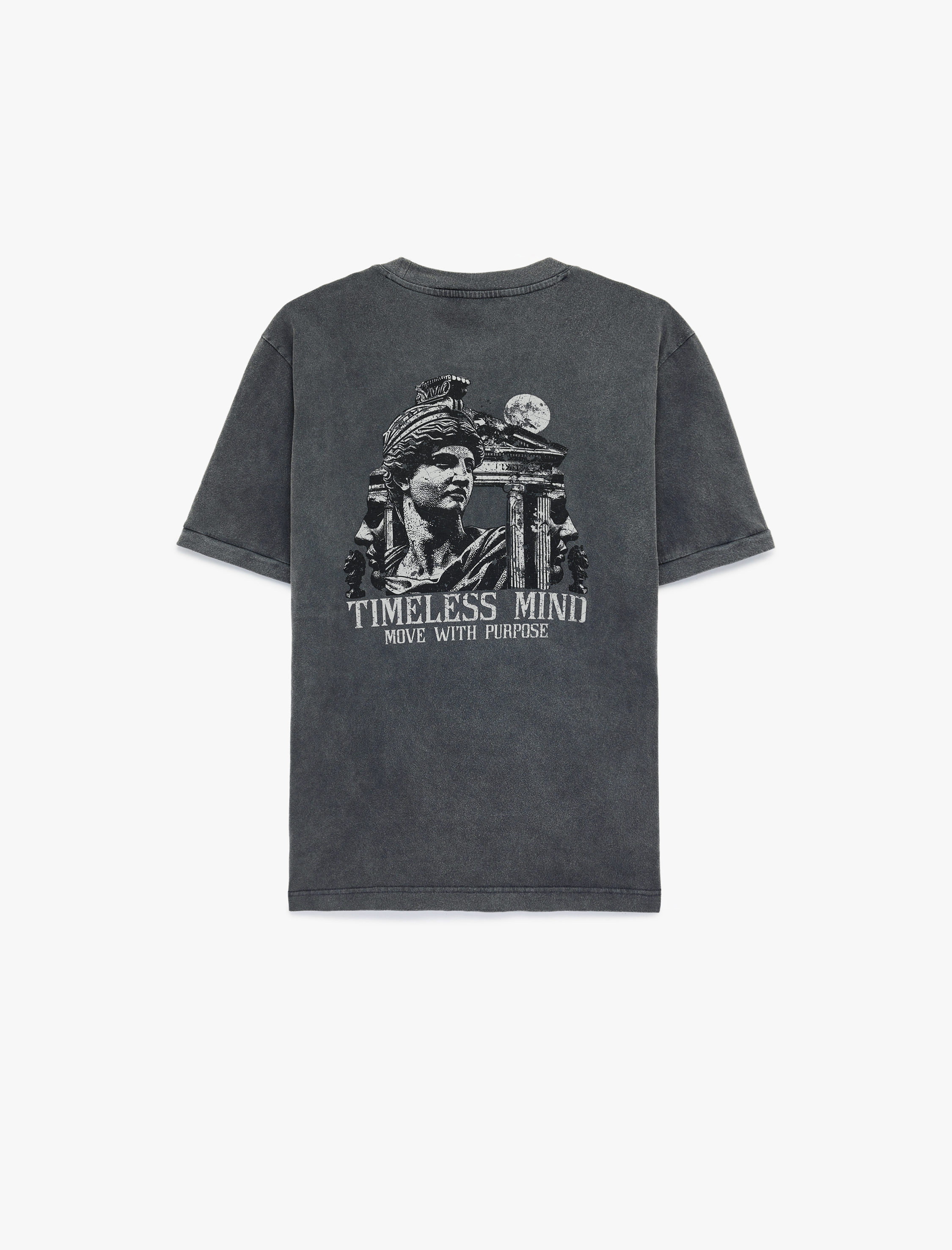   Regular Fit Kısa Kollu Bisiklet Yaka Pamuklu Yıkamalı Arkası Baskılı Tişört