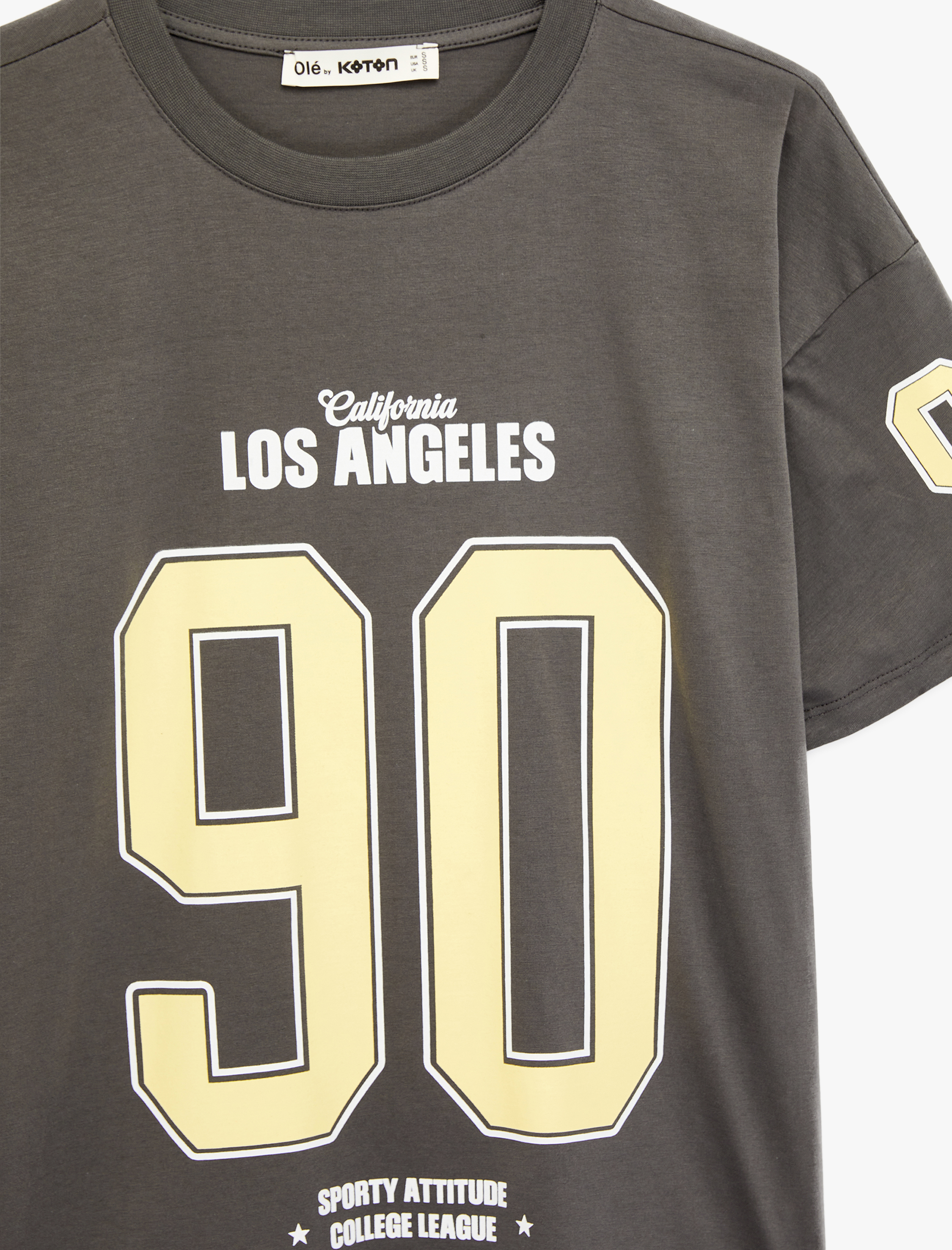   Kısa Kollu Bisiklet Yaka Pamuklu Baskılı Oversize Tişört