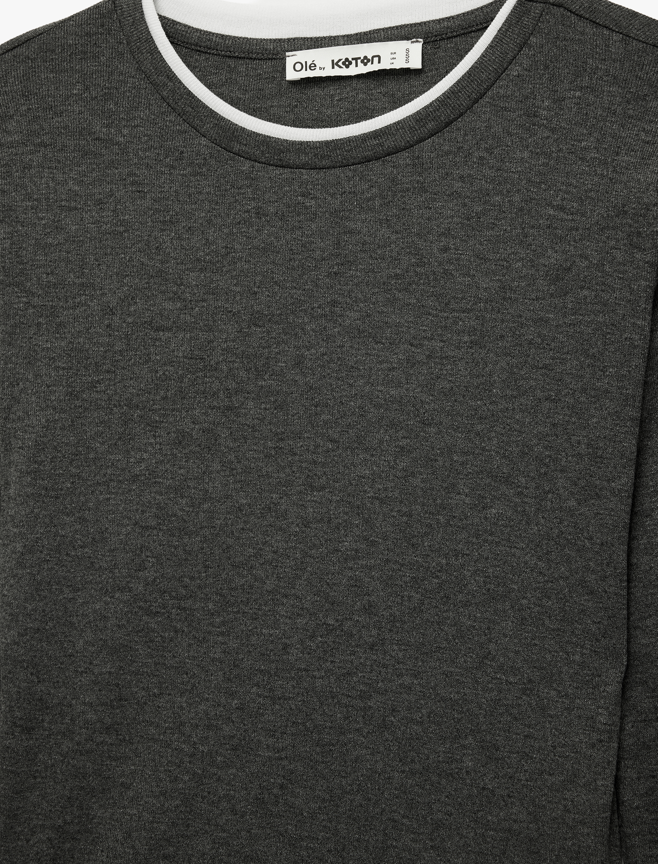   Viskon Karışımlı Slim Fit Biyeli Bisiklet Yaka Uzun Kollu Tişört