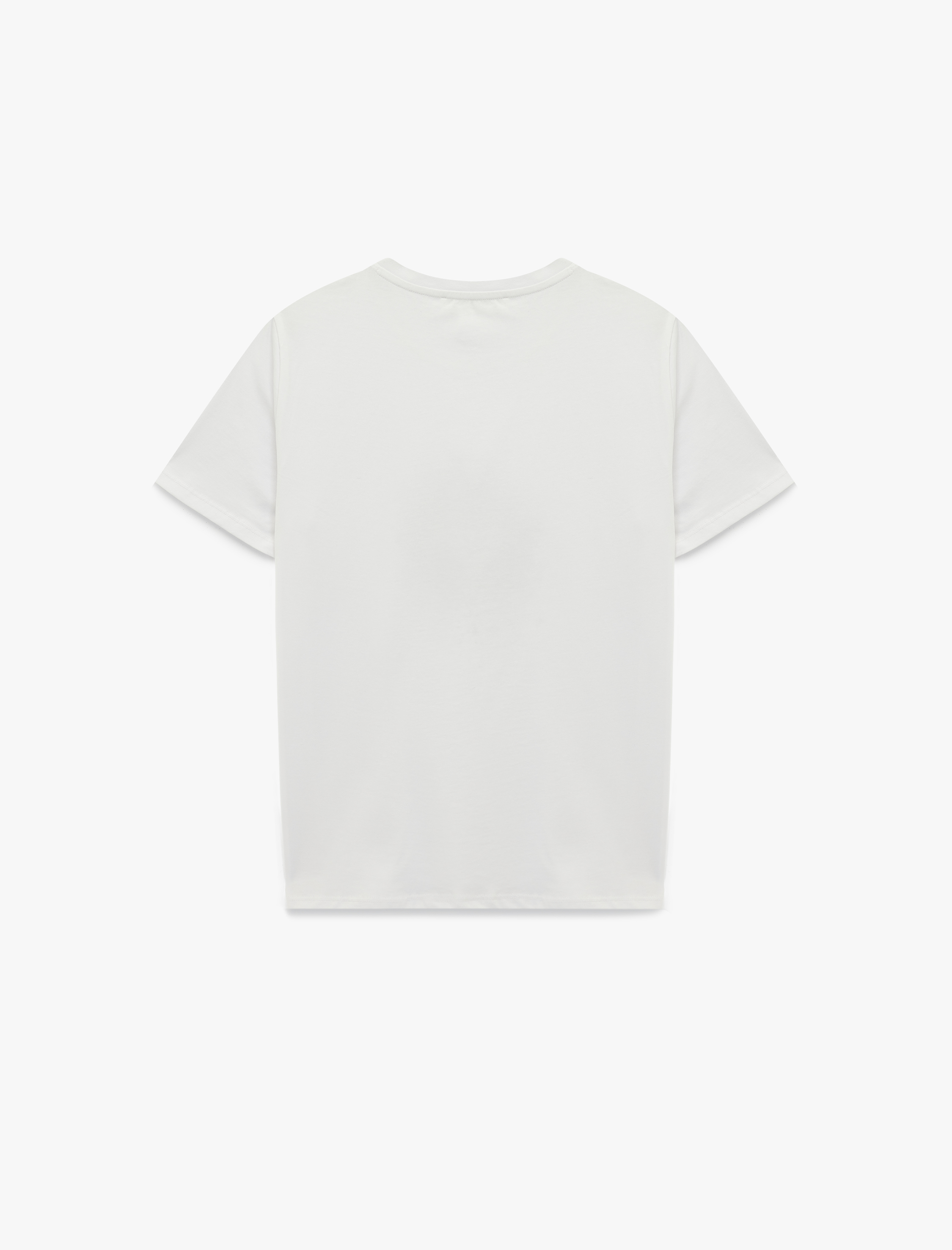   Regular Fit Kısa Kollu Bisiklet Yaka Baskılı Tişört