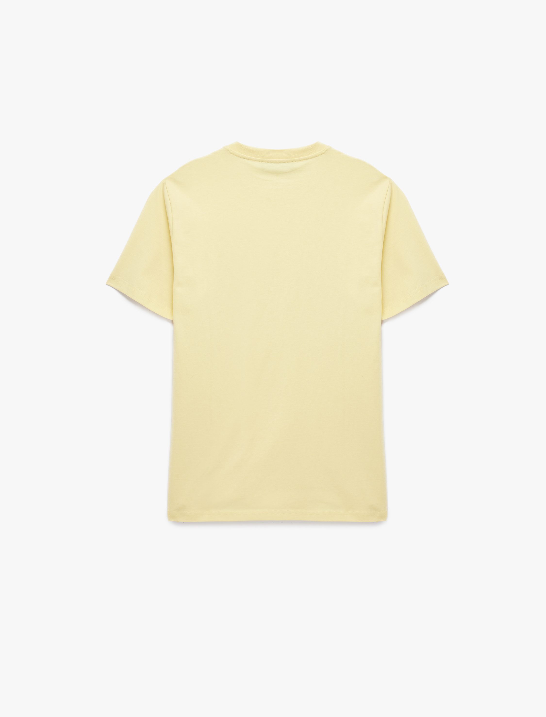   Regular Fit Kısa Kollu Bisiklet Yaka Pamuklu Baskılı Tişört