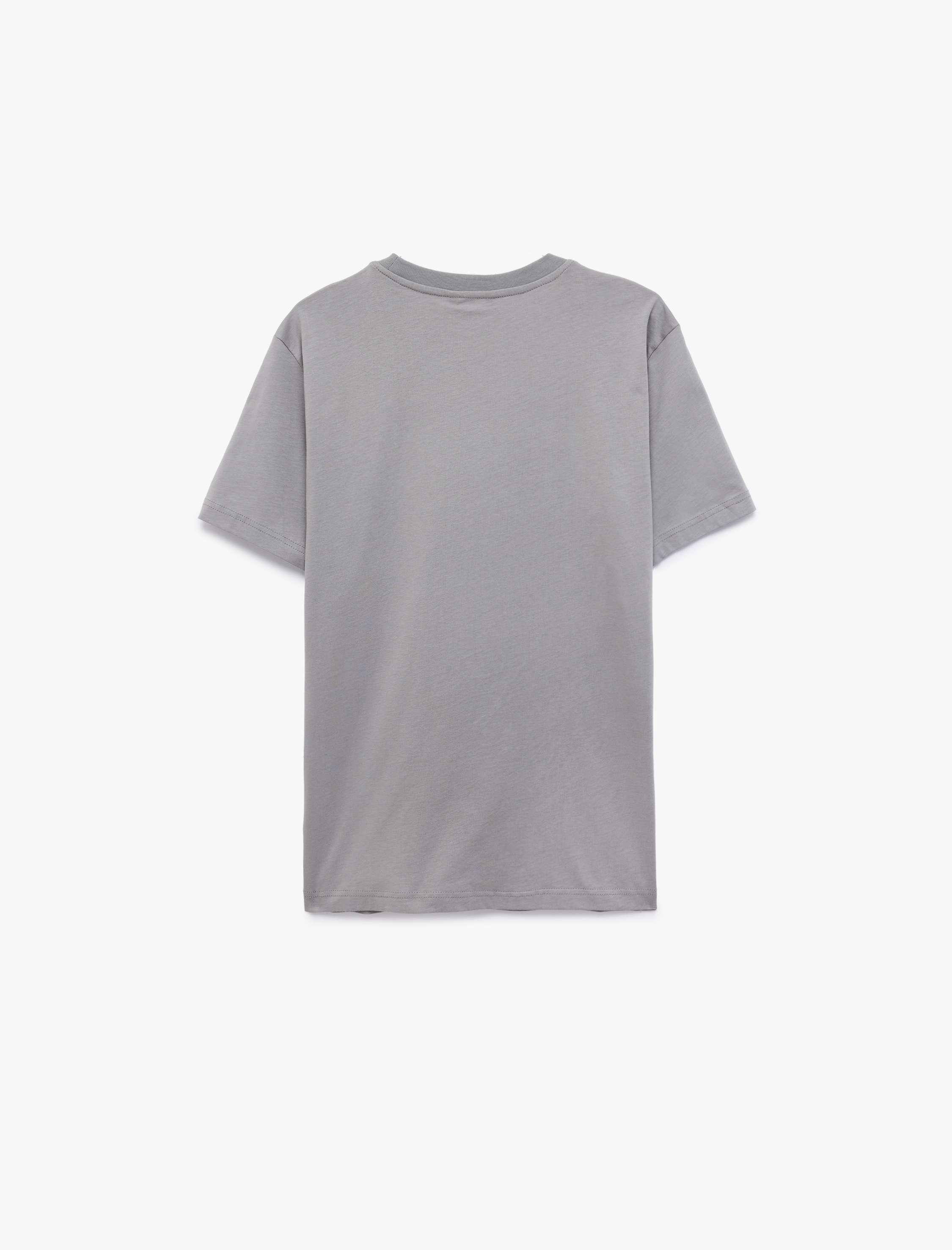   Regular Fit Kısa Kollu Bisiklet Yaka Basic Pamuklu Tişört