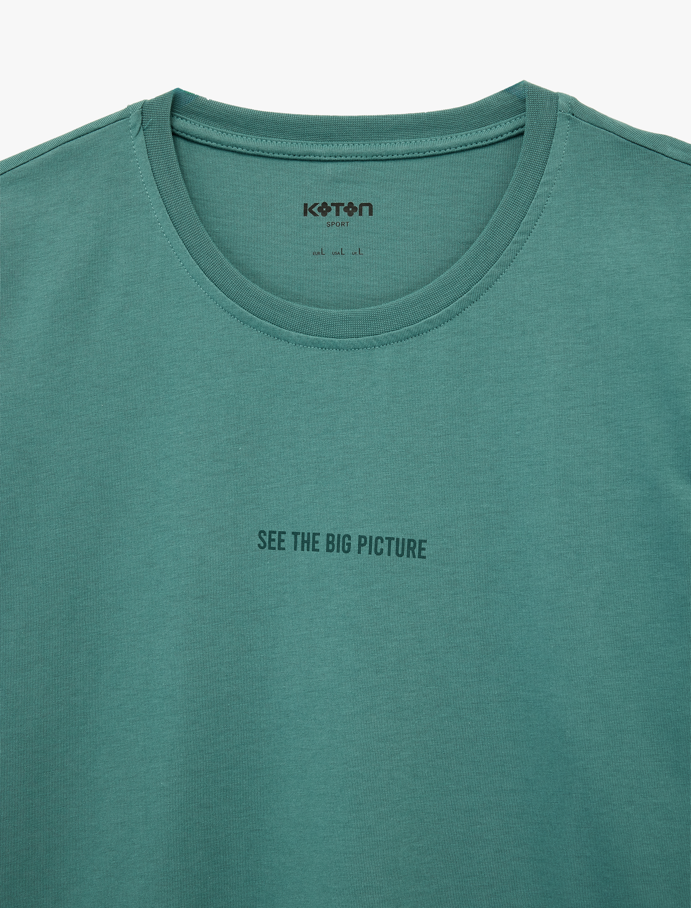   Kısa Kollu Regular Fit Bisiklet Yaka Pamuklu Baskılı Spor Tişört