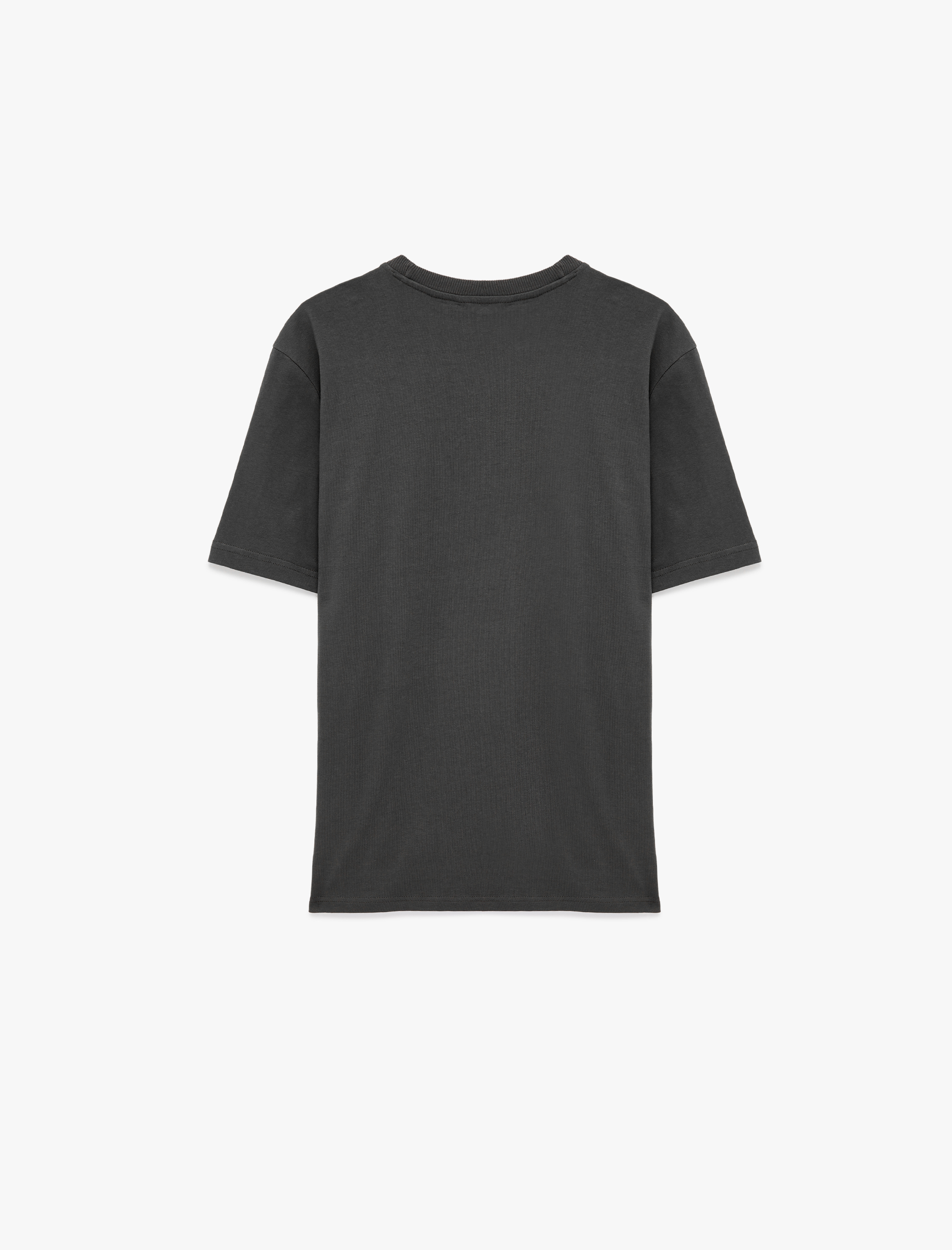   Regular Fit Kısa Kollu Bisiklet Yaka Pamuklu Baskılı Tişört